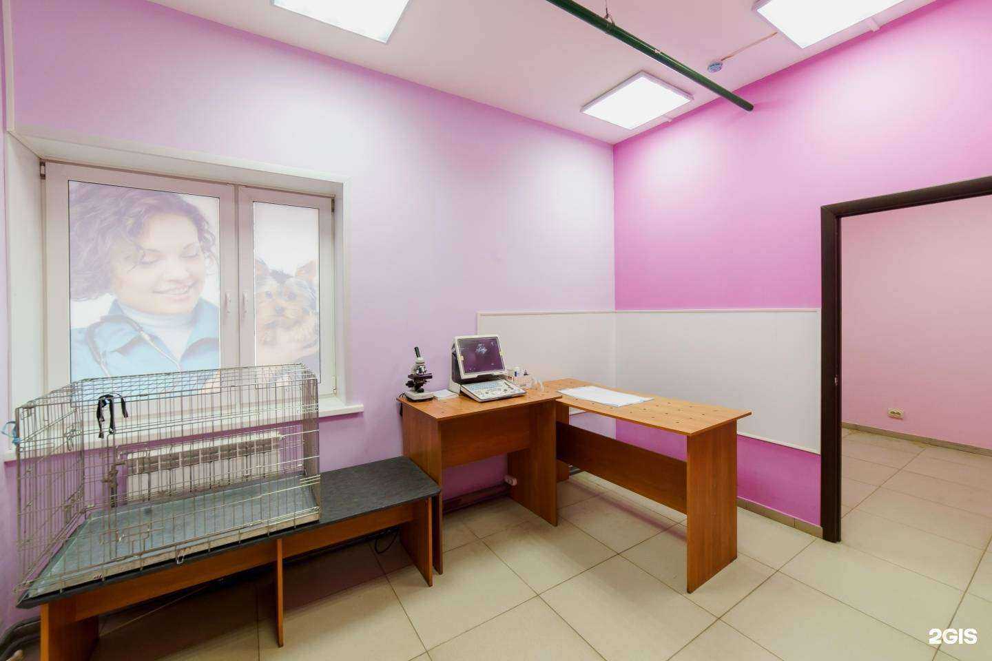 Отзывы на компанию Кот Матроскин в Нижнем Новгороде c фото