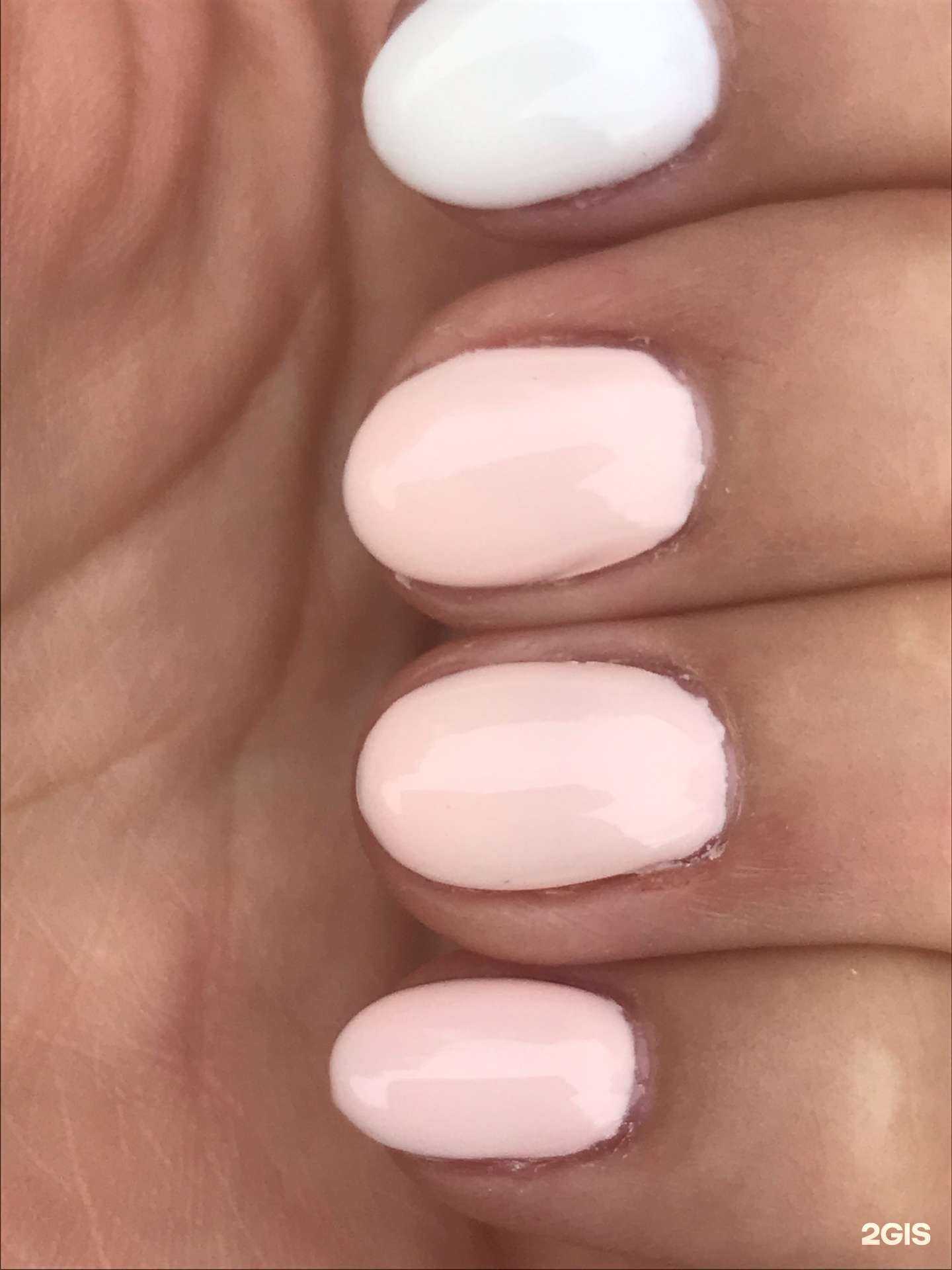 Отзывы на компанию Свентана в Самаре c фото