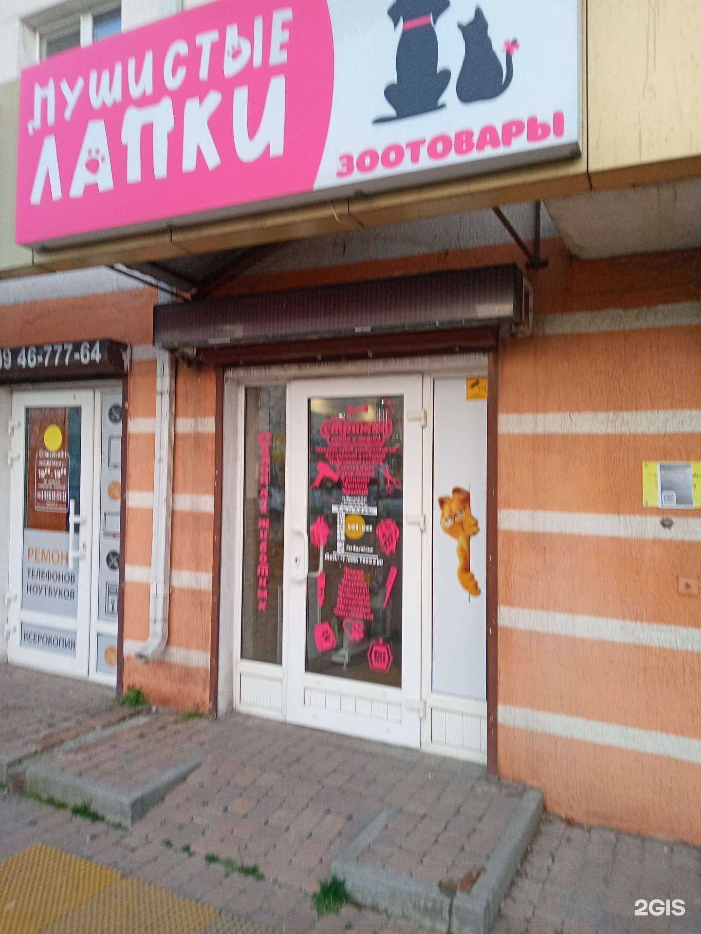 Отзывы на компанию Пушистые лапки в г. Новороссийск c фото