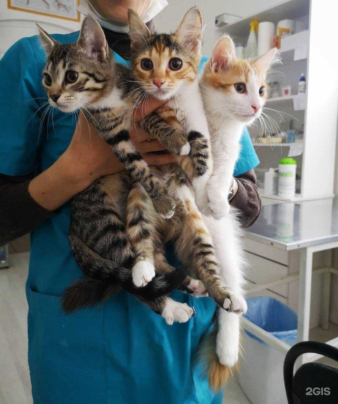 Отзывы на компанию Доверие в Ростове-на-Дону c фото