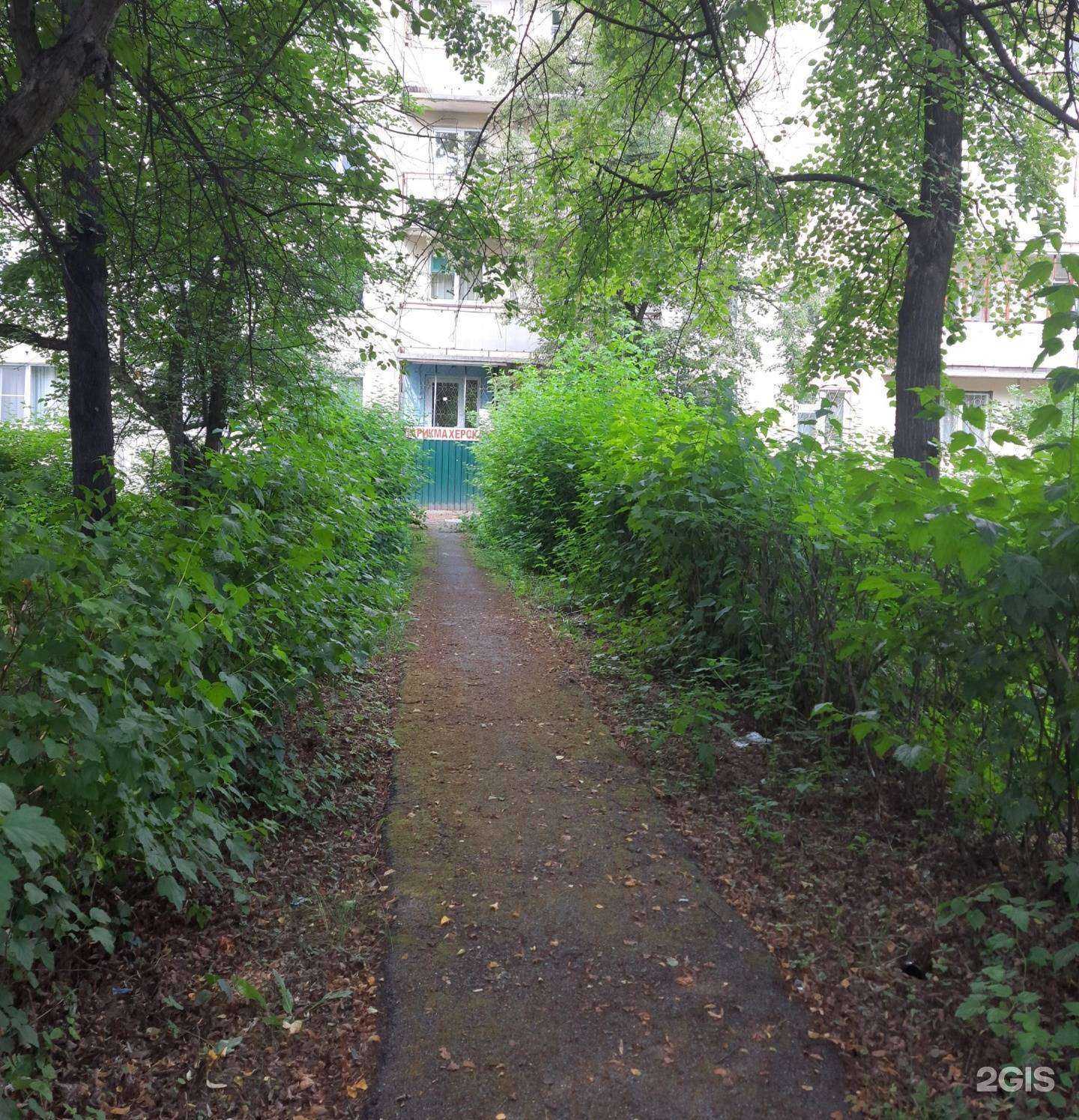 Отзывы на компанию Космея в Миассе c фото