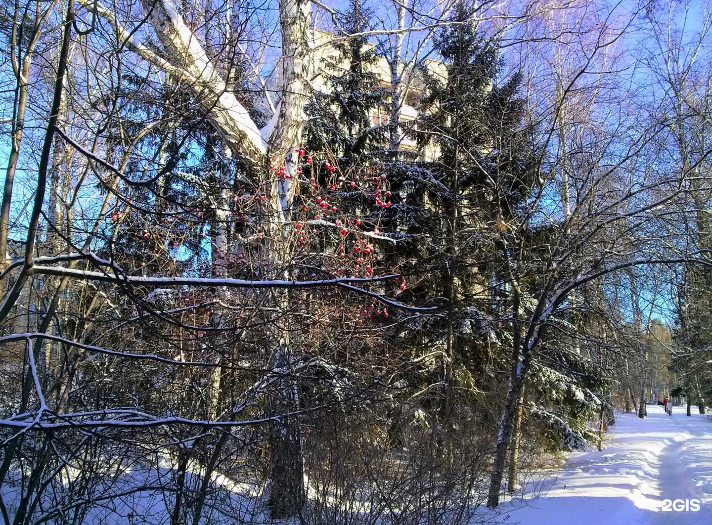 Отзывы на компанию Компания по разработке программного обеспечения в Новосибирске c фото