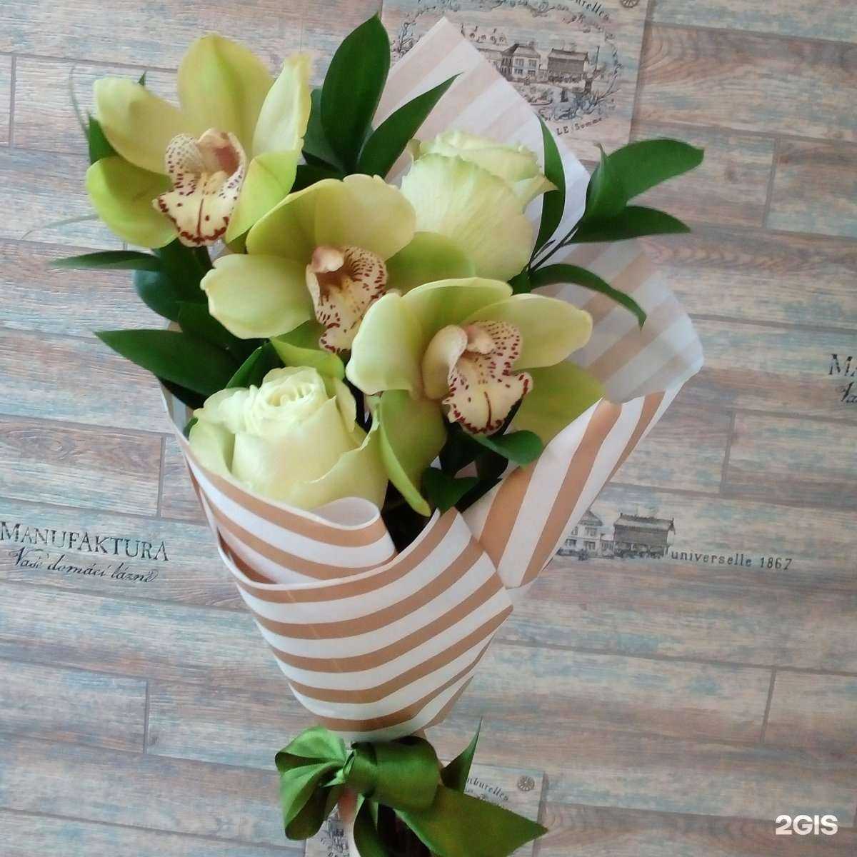 Отзывы на компанию Oliva в Омске c фото