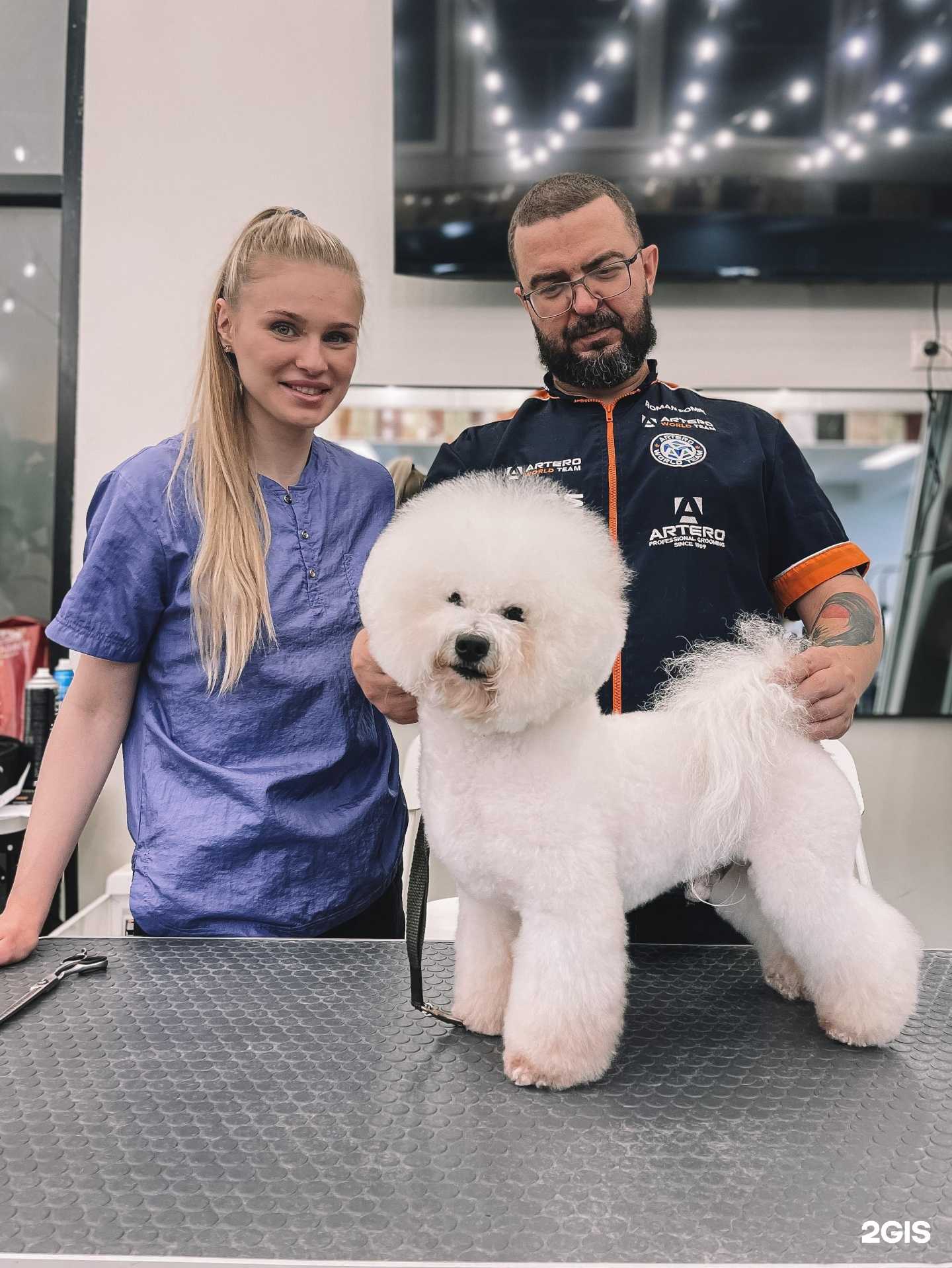 Отзывы на компанию Watson в г. Тула c фото