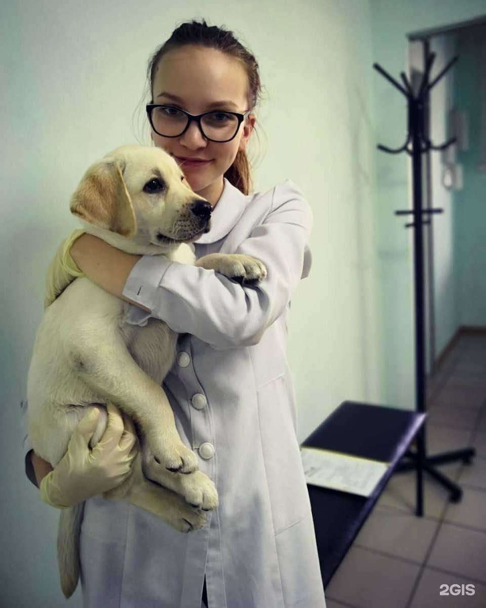 Отзывы на компанию Doctor Pets в г. Барнаул c фото