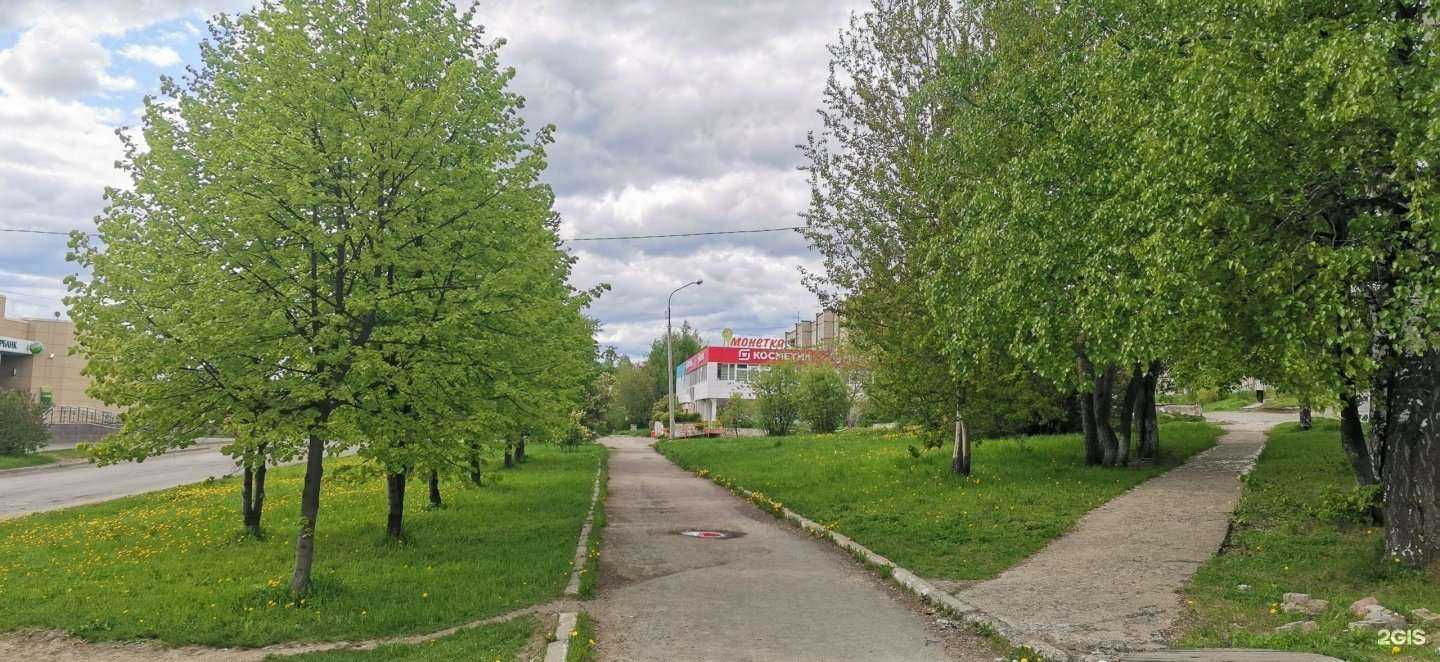 Отзывы на компанию Альтернатива в г. Кушва c фото