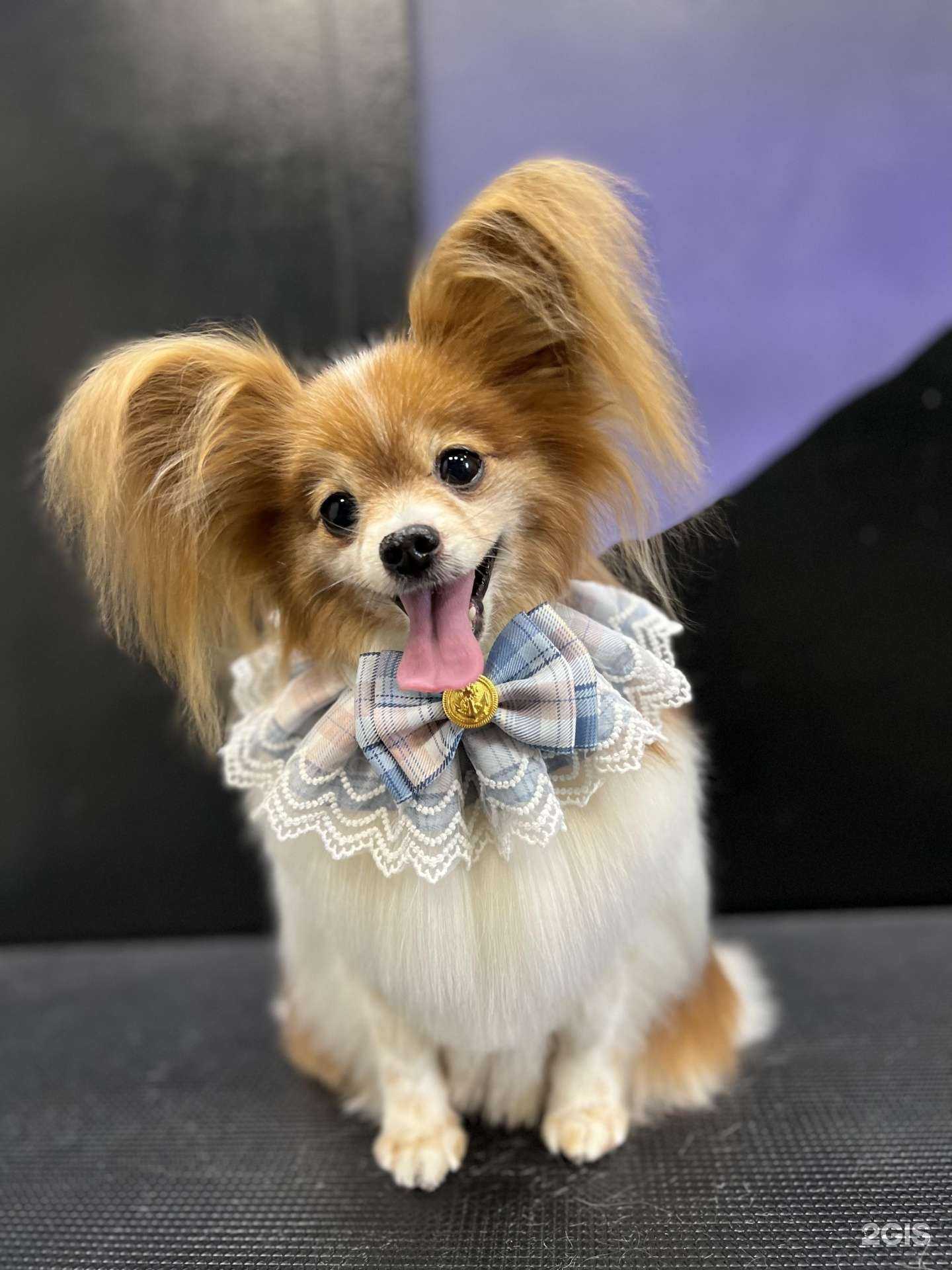 Отзывы на компанию Полар Найт в г. Хабаровск c фото