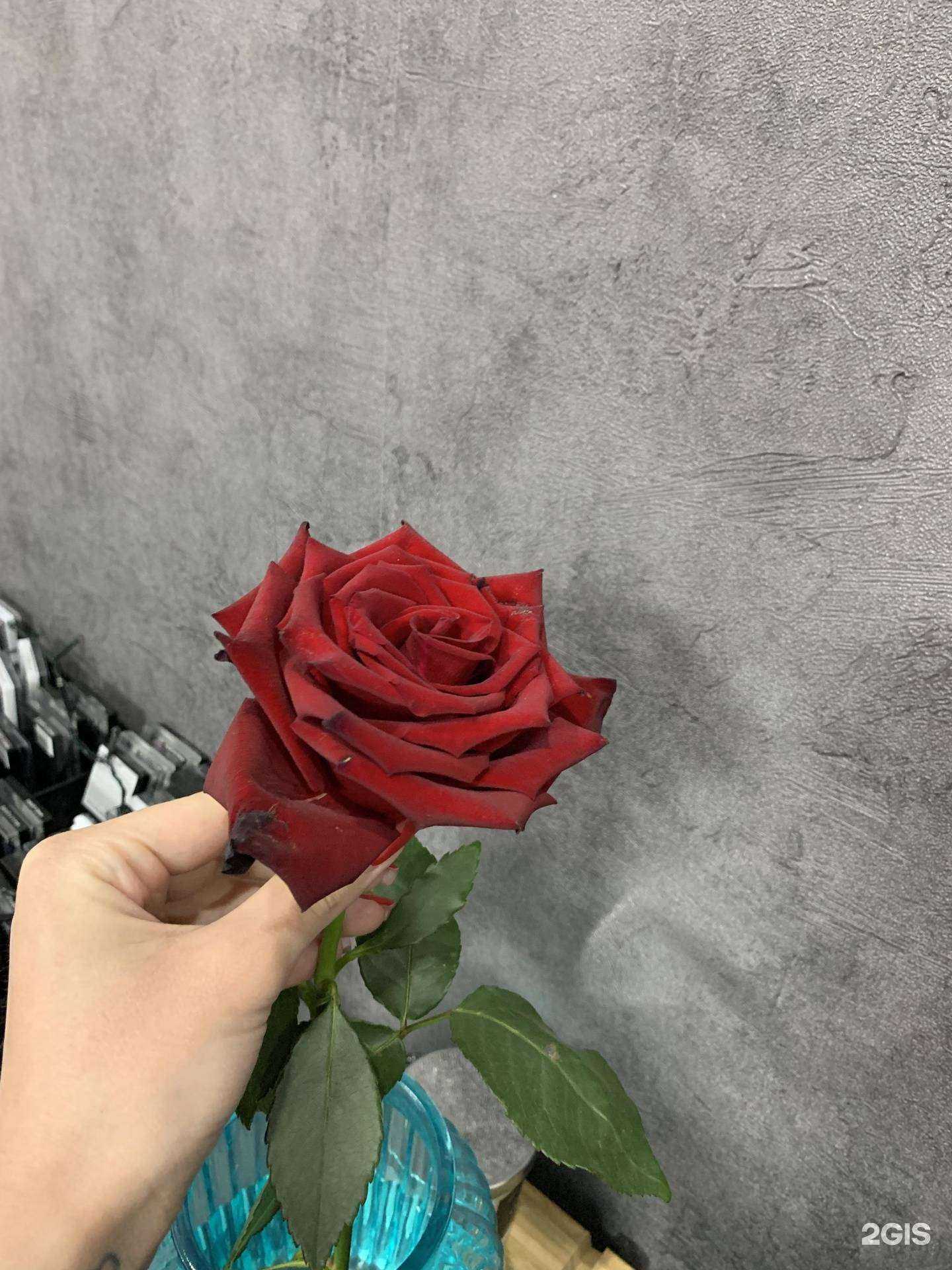 Отзывы на компанию Студия цветов в Новом Уренгое c фото