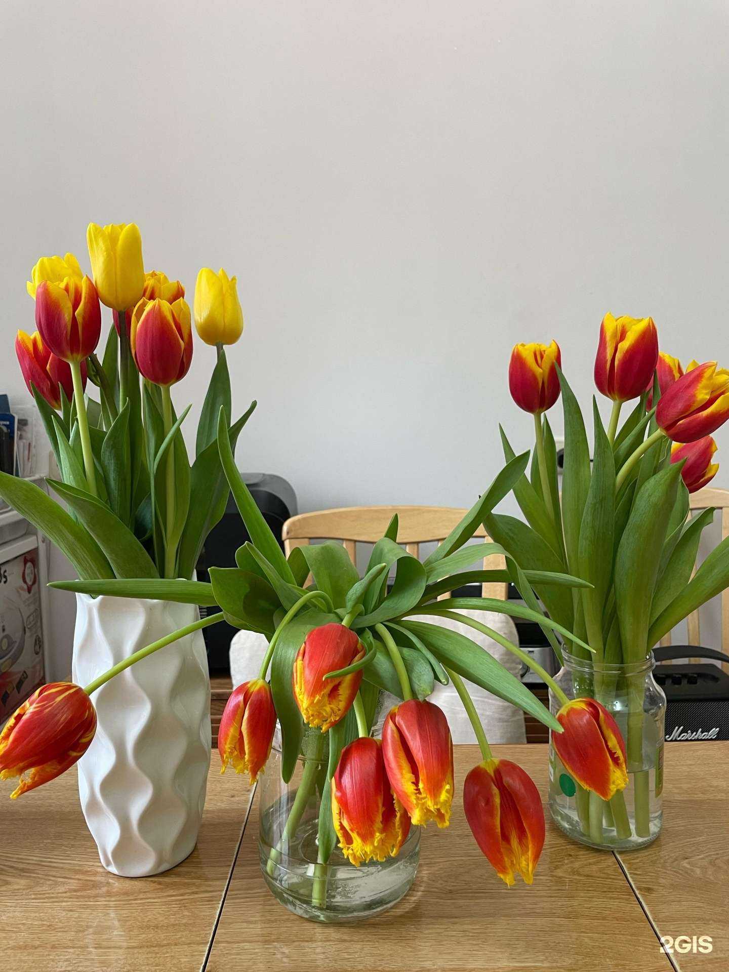 Отзывы на компанию ПетунияНск в Новосибирске c фото