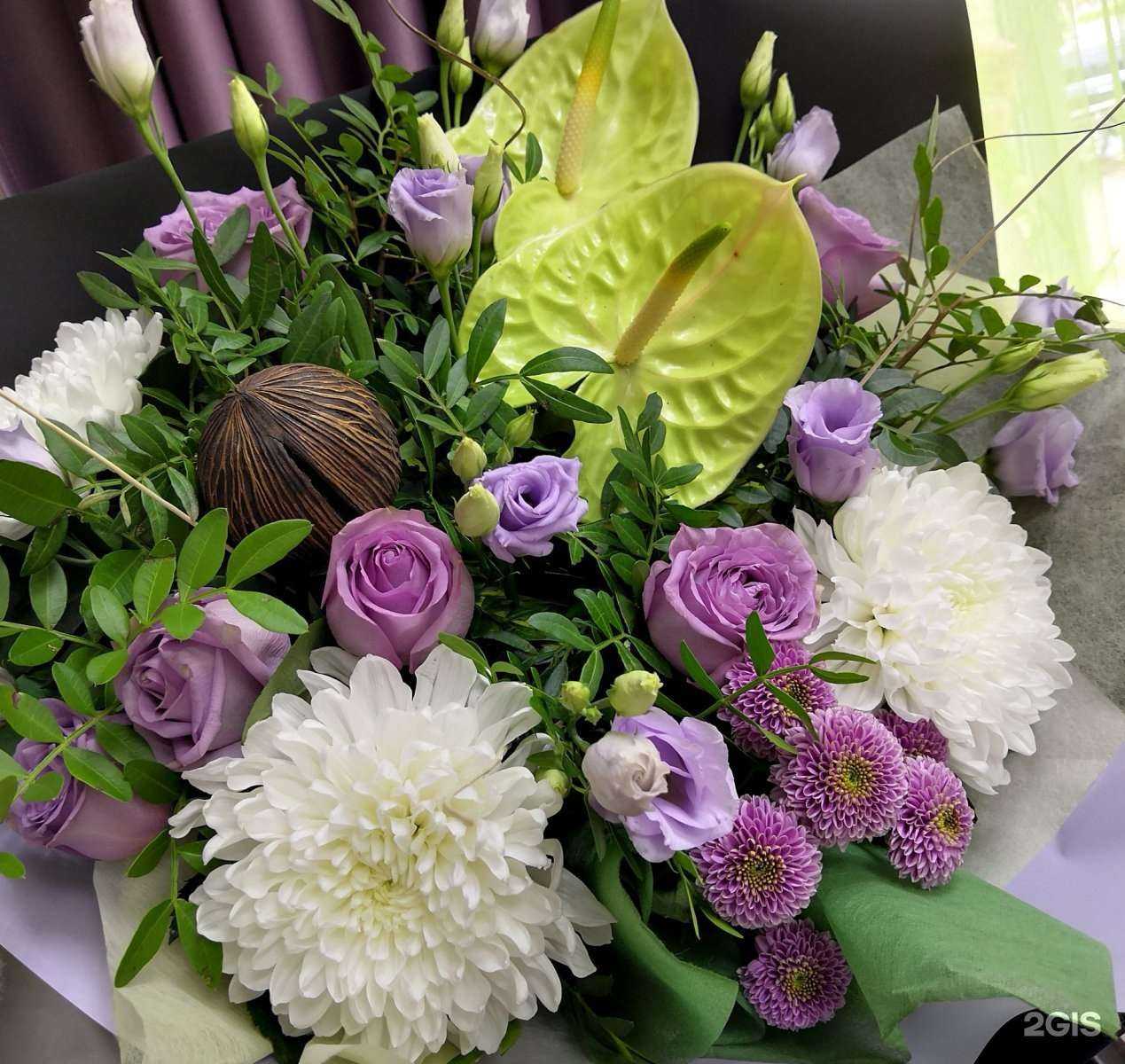 Отзывы на компанию Донна Роза в г. Северодвинск c фото