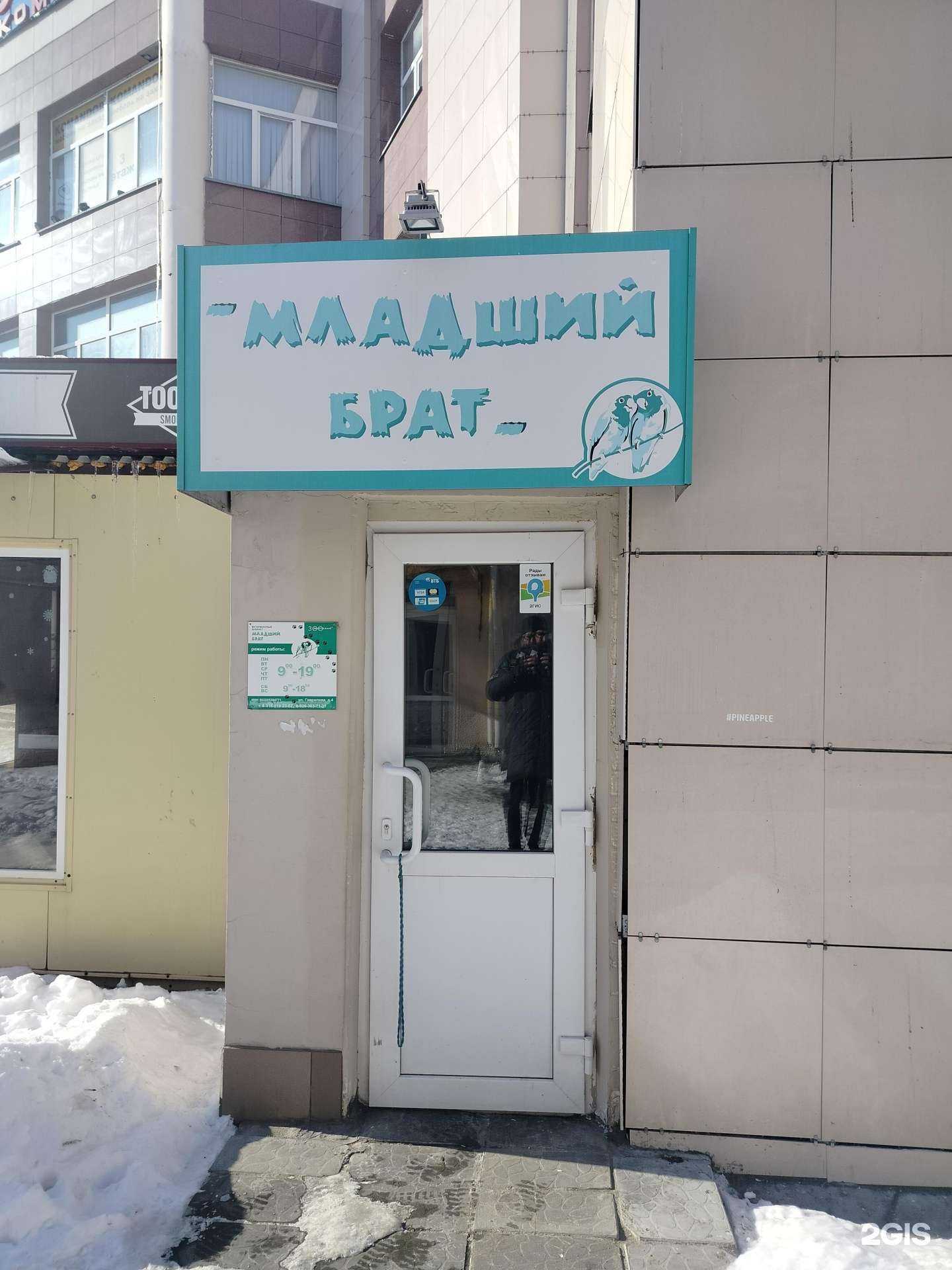 Отзывы на компанию Груминг-студия в г. Коломна c фото