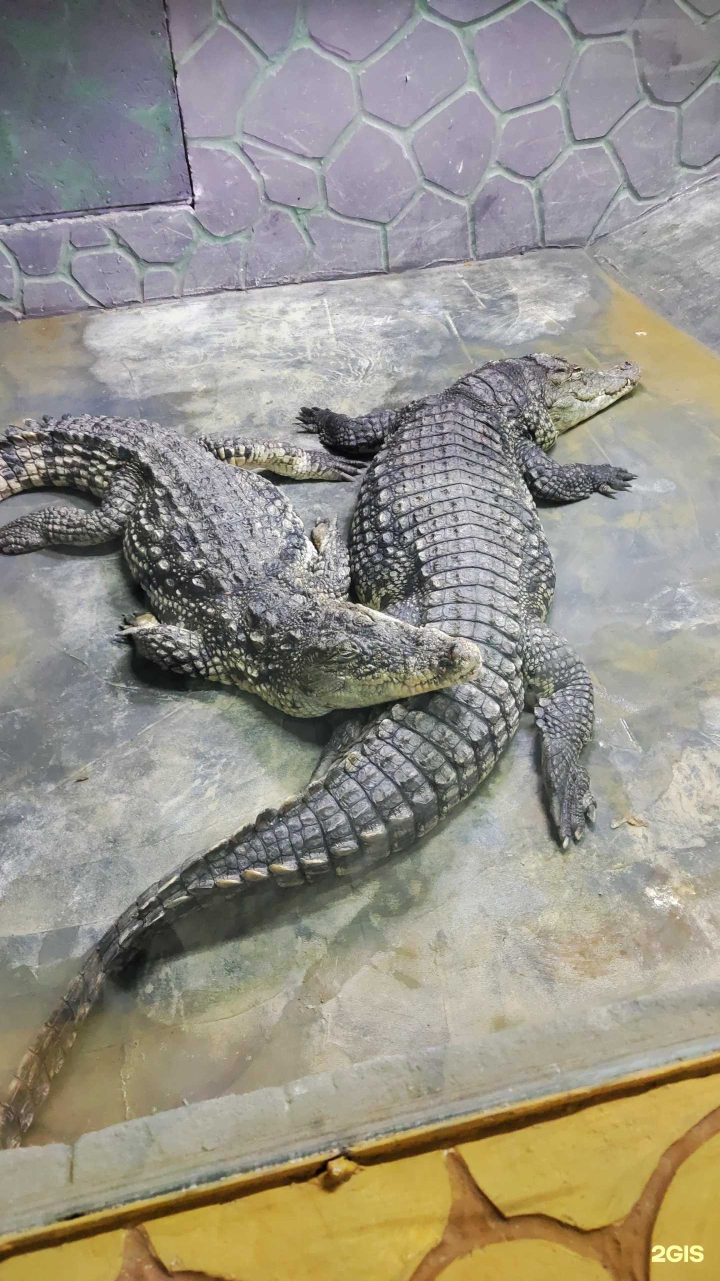 Отзывы на компанию Баба Фрося в Астрахани c фото