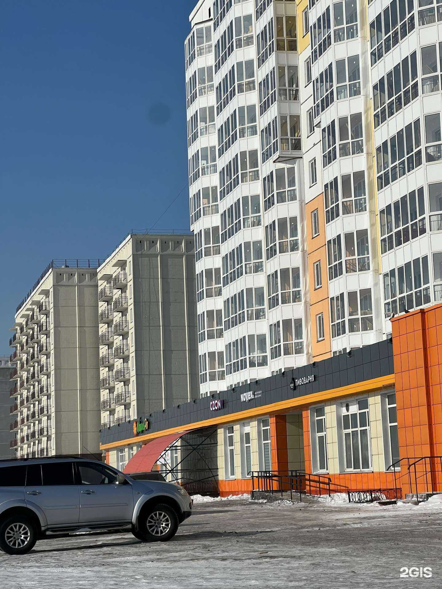 Отзывы на компанию Четыре лапы в Новокузнецке c фото - фотография 2 из 2