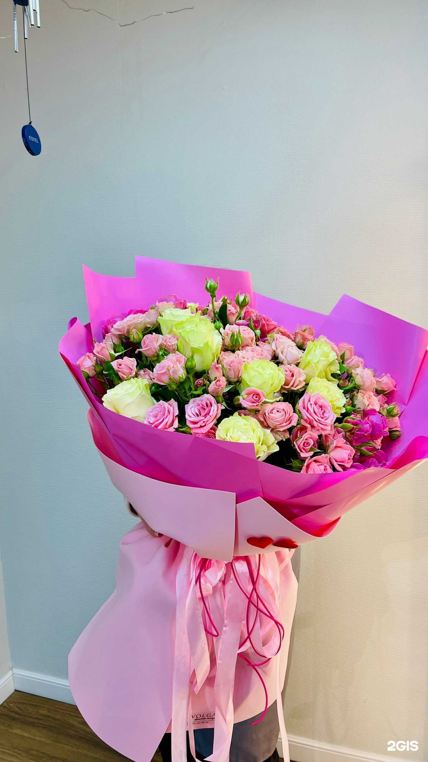 Отзывы на компанию Ivolga в Ковдоре c фото