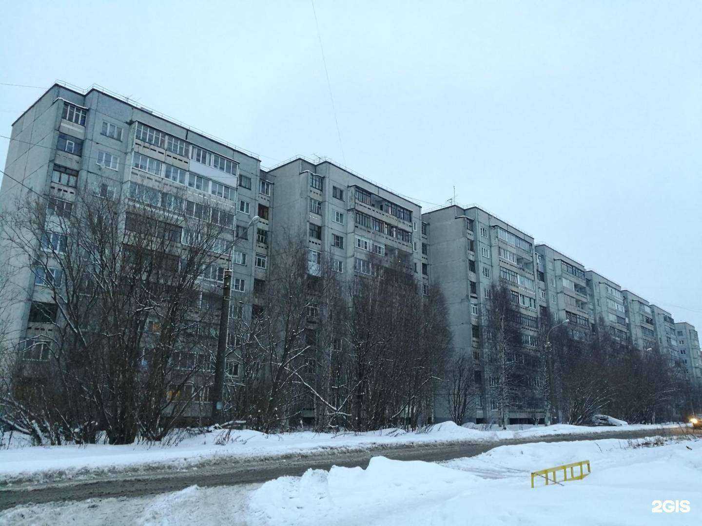 Отзывы на компанию Стелла в Архангельске c фото - фотография 2 из 2