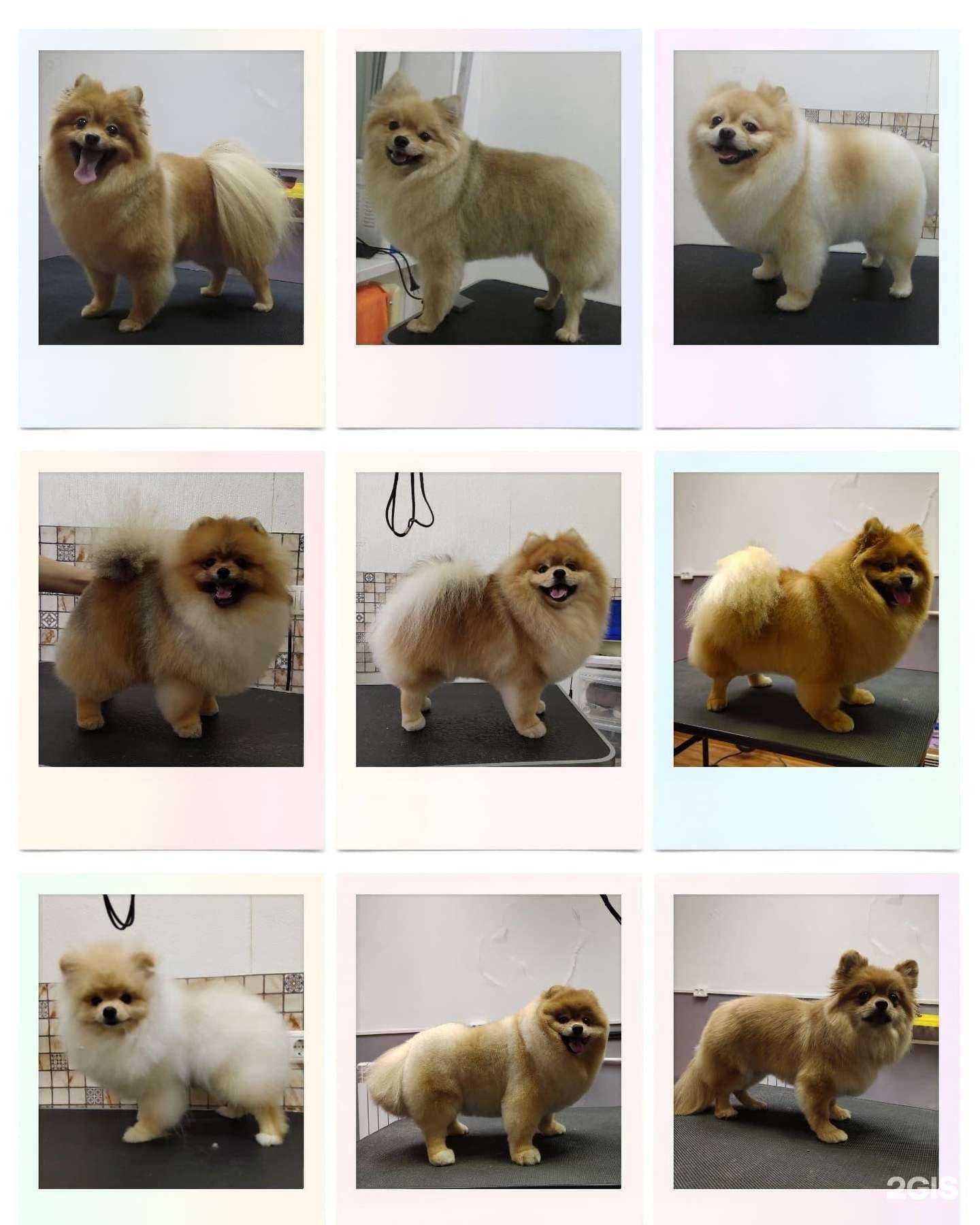 Отзывы на компанию Баронесса и Барон в Челябинске c фото