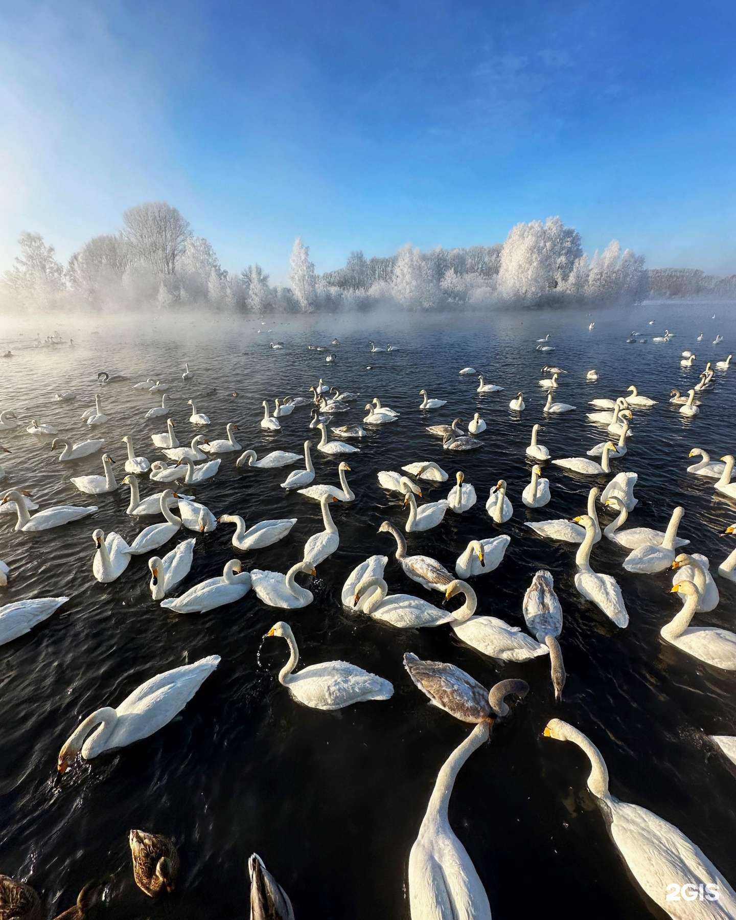 Отзывы на компанию Tesla travel в Владивостоке c фото