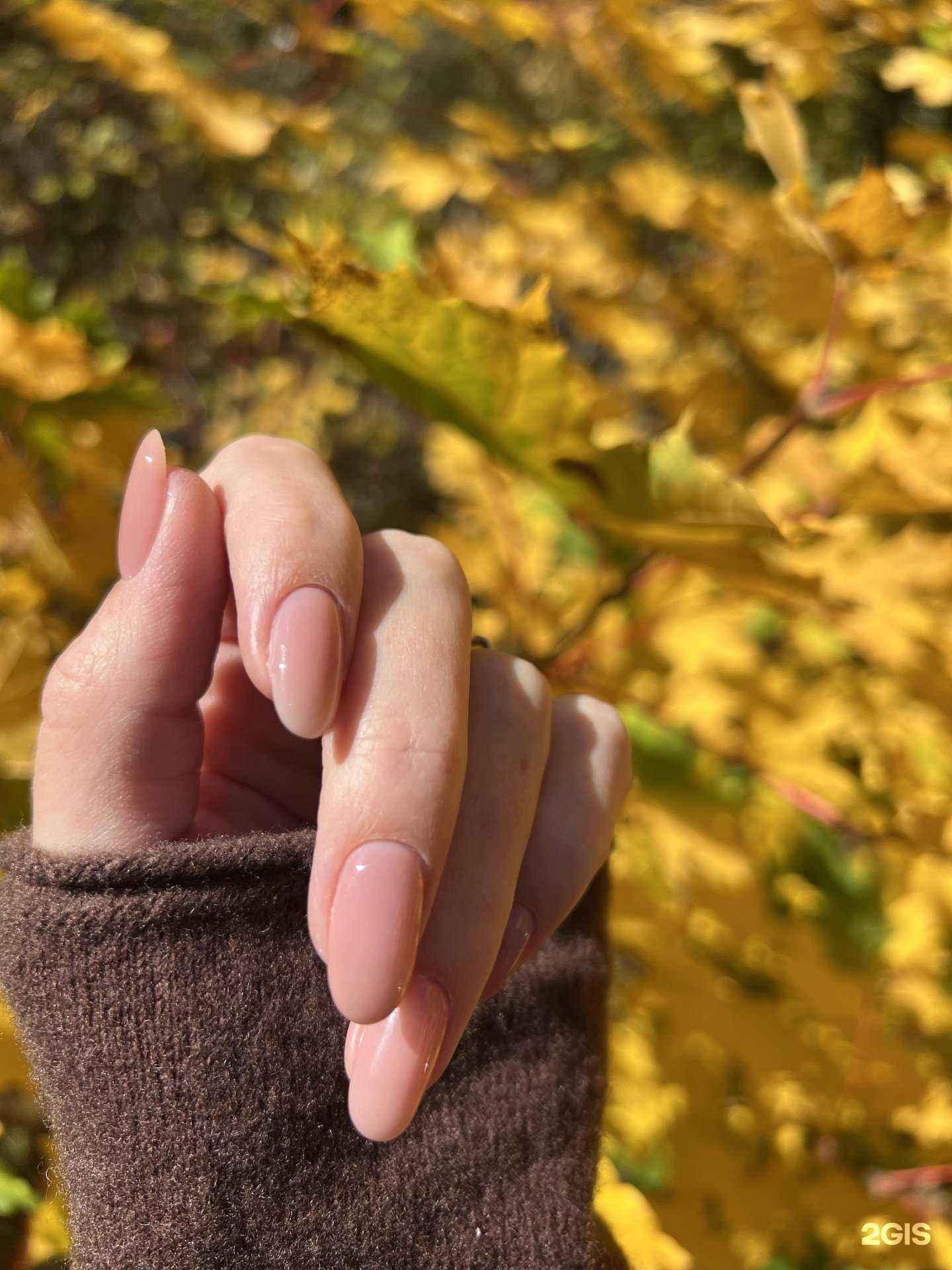 Отзывы на компанию Ногтевая студия в Петрозаводске c фото