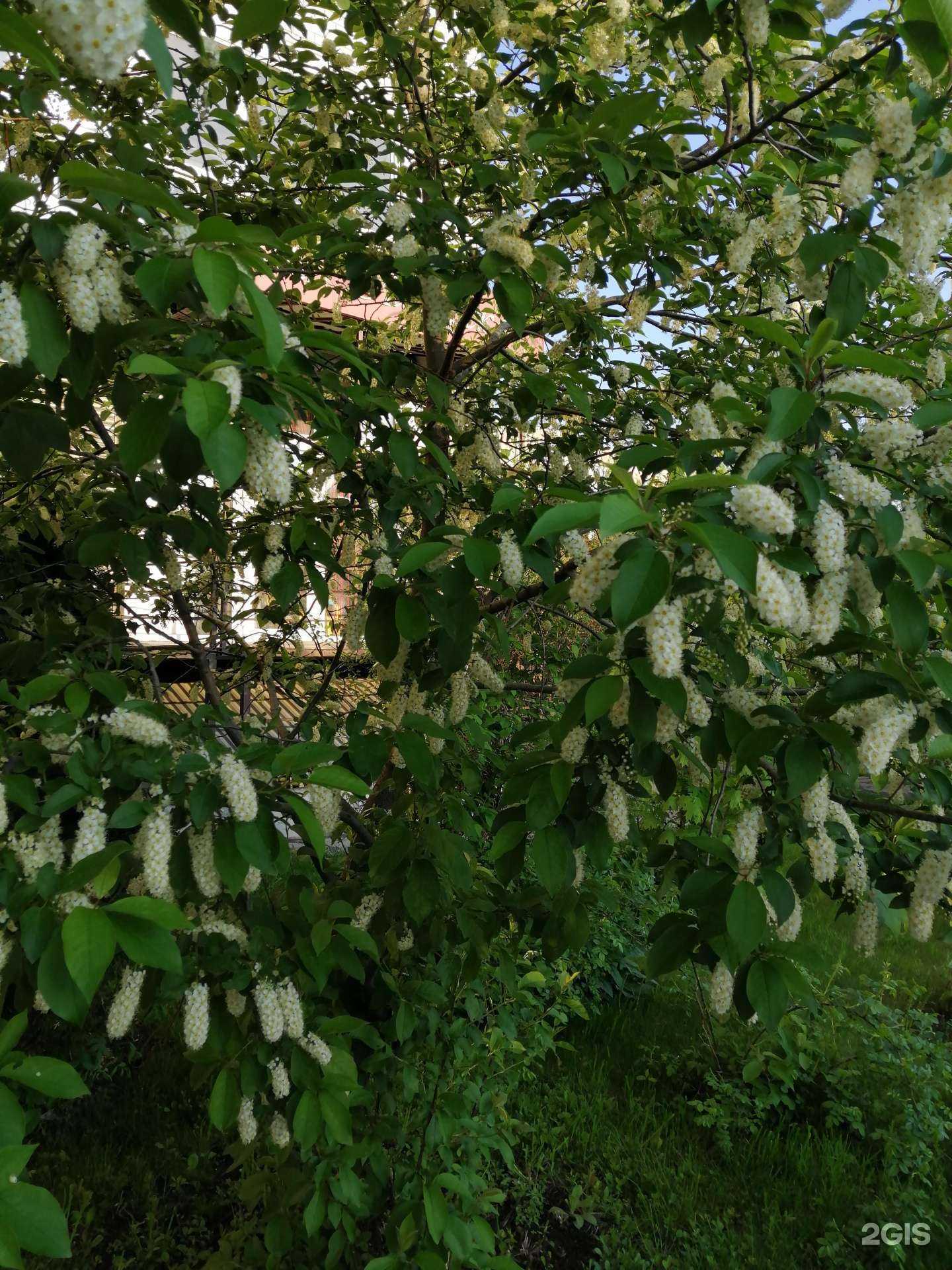 Отзывы на компанию Лига драйв в Саратове c фото - фотография 2 из 2