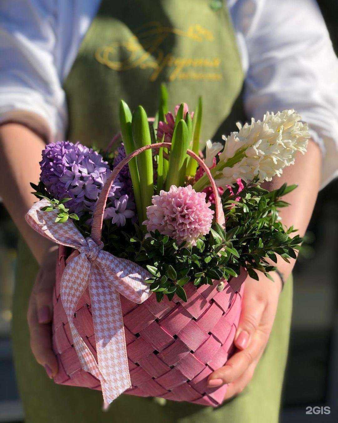 Отзывы на компанию Бруния в Волгограде c фото