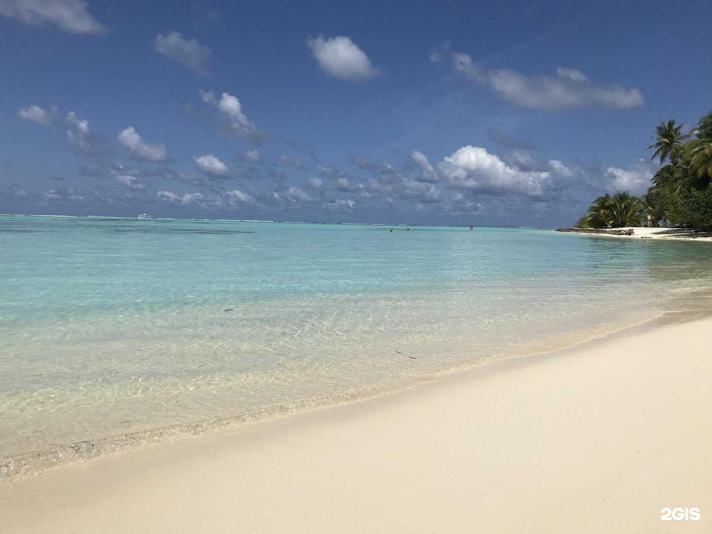 Отзывы на компанию Трансаэросервис в Кемерове c фото