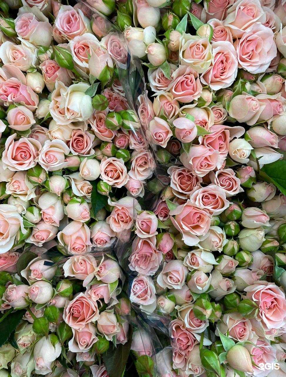 Отзывы на компанию Anne Flora в Пятигорске c фото