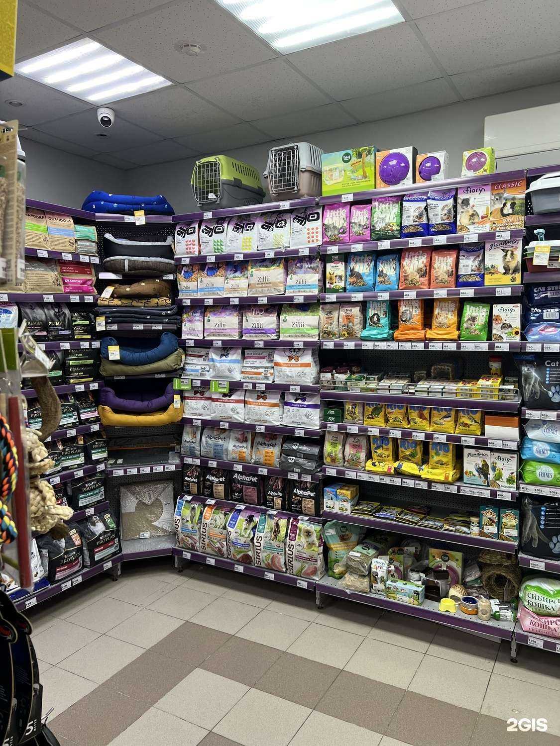 Отзывы на компанию Мокрый нос в Саратове c фото