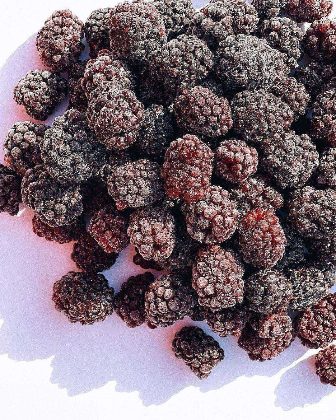 Отзывы на компанию Фрост в Ставрополе c фото