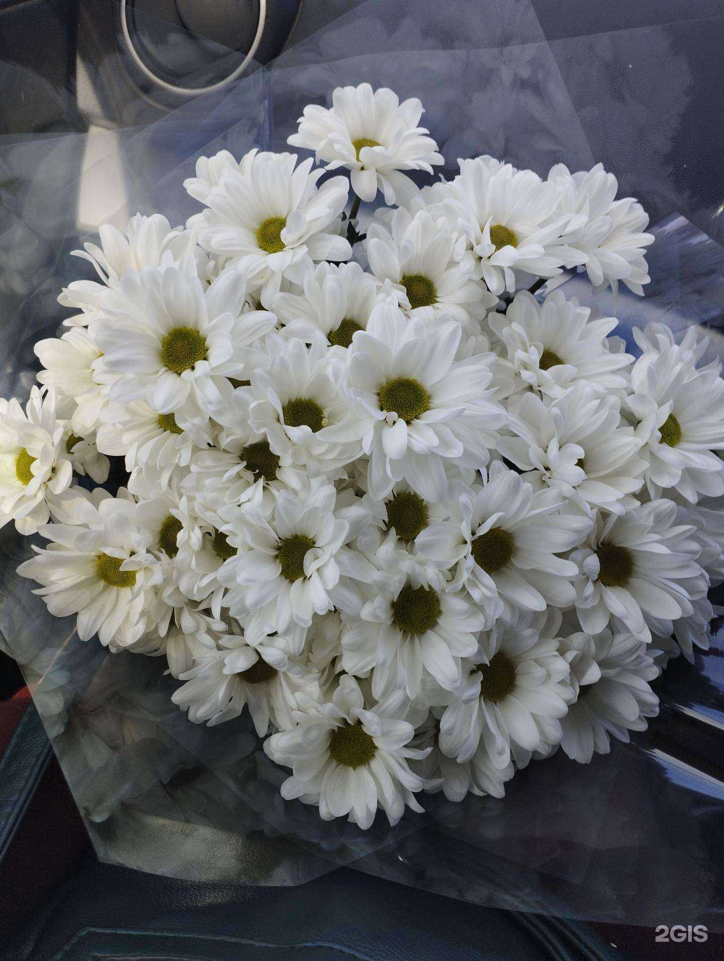 Отзывы на компанию Цветочный дискаунт в г. Хабаровск c фото