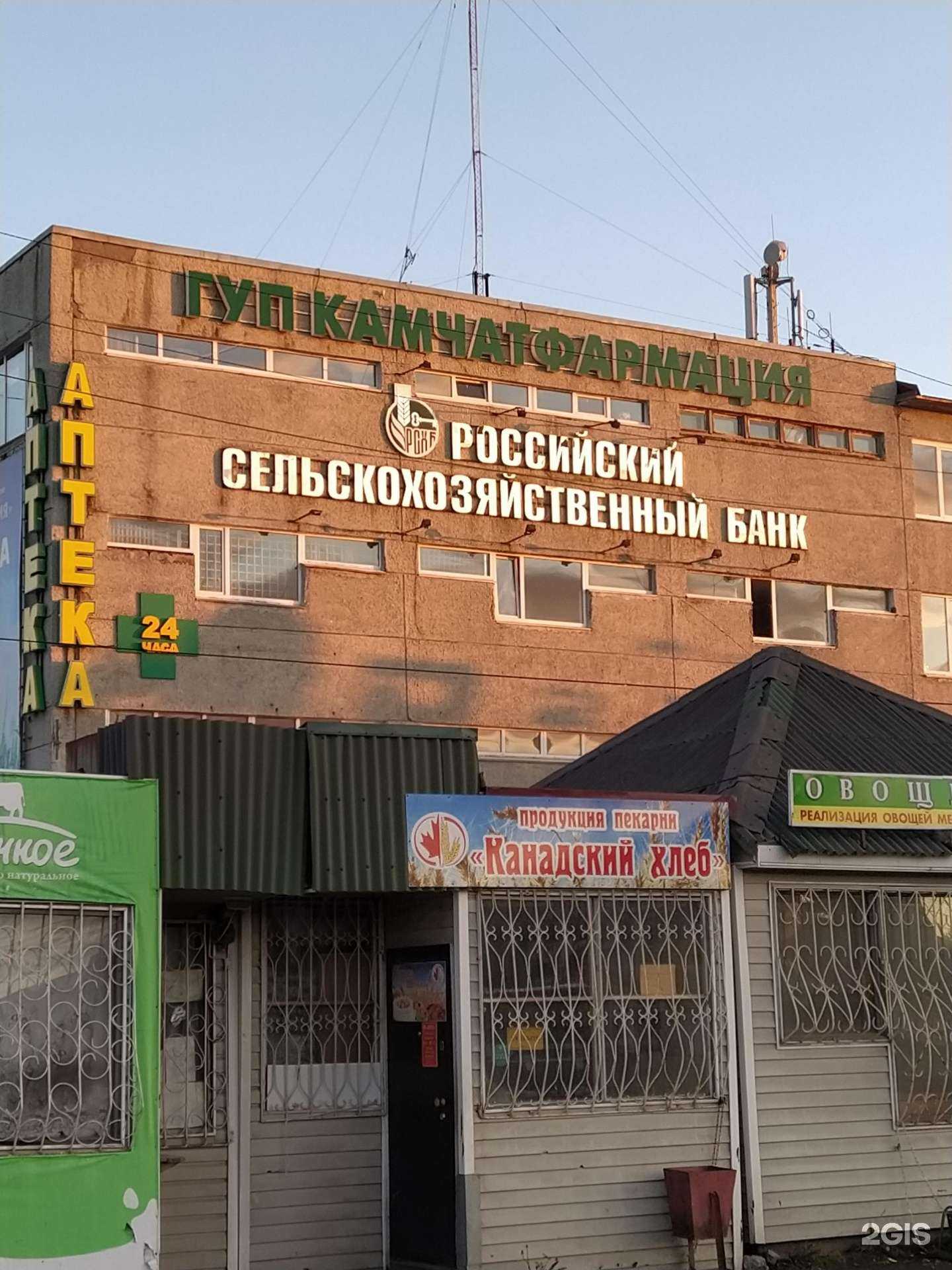 Отзывы на компанию Вита в г. Петропавловск-Камчатский c фото