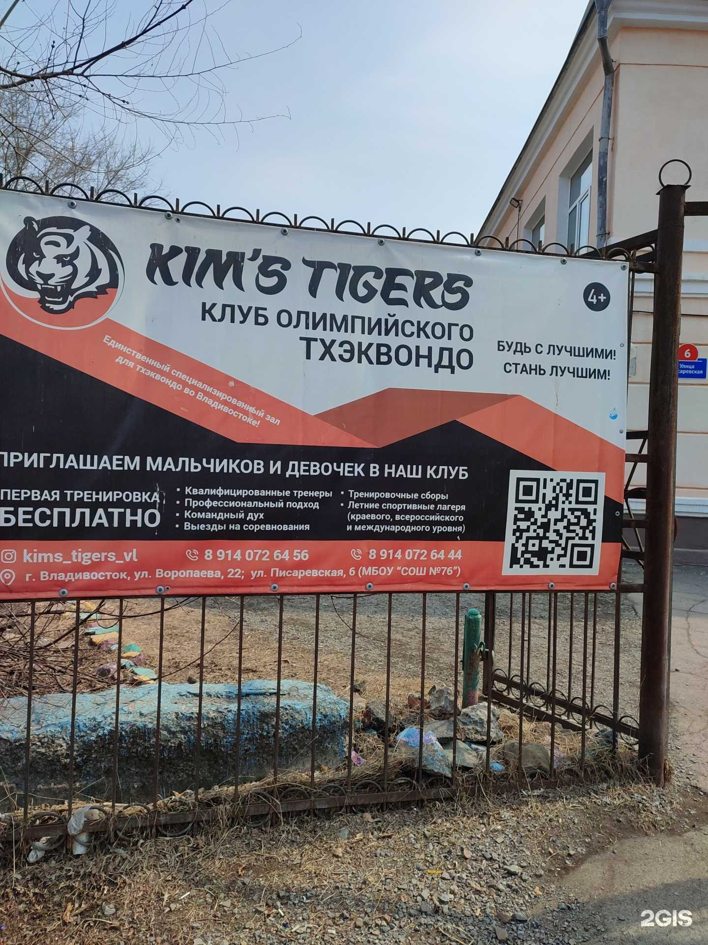 Отзывы на компанию Кимс Тайгерс в г. Владивосток c фото