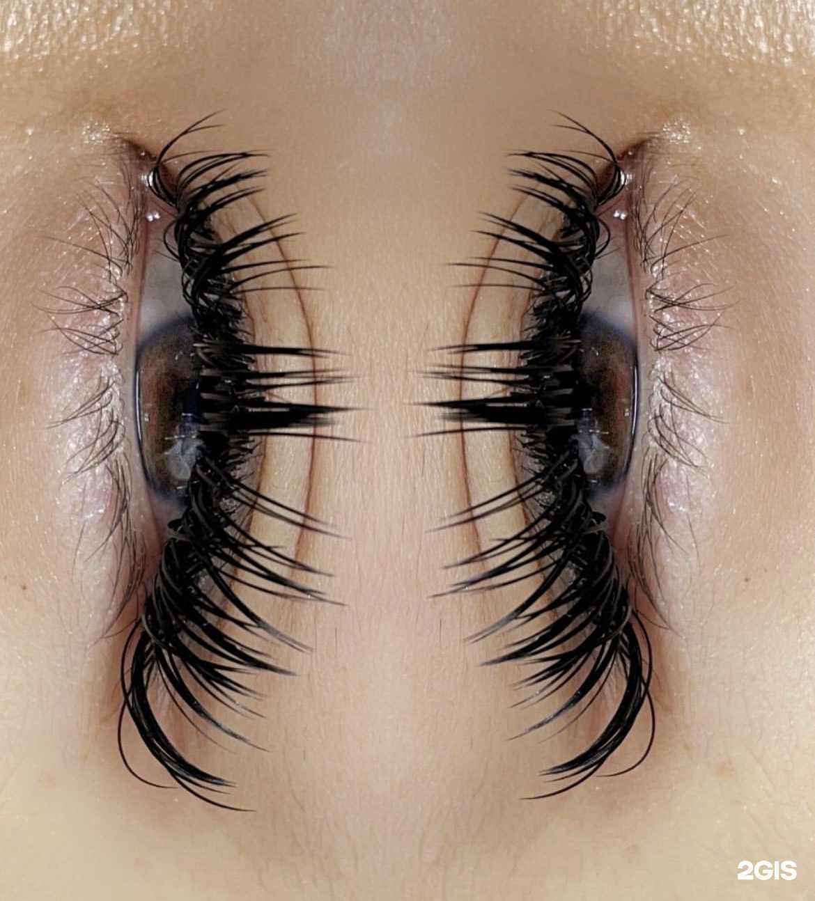 Отзывы на компанию l.bar_by.ds в Владивостоке c фото