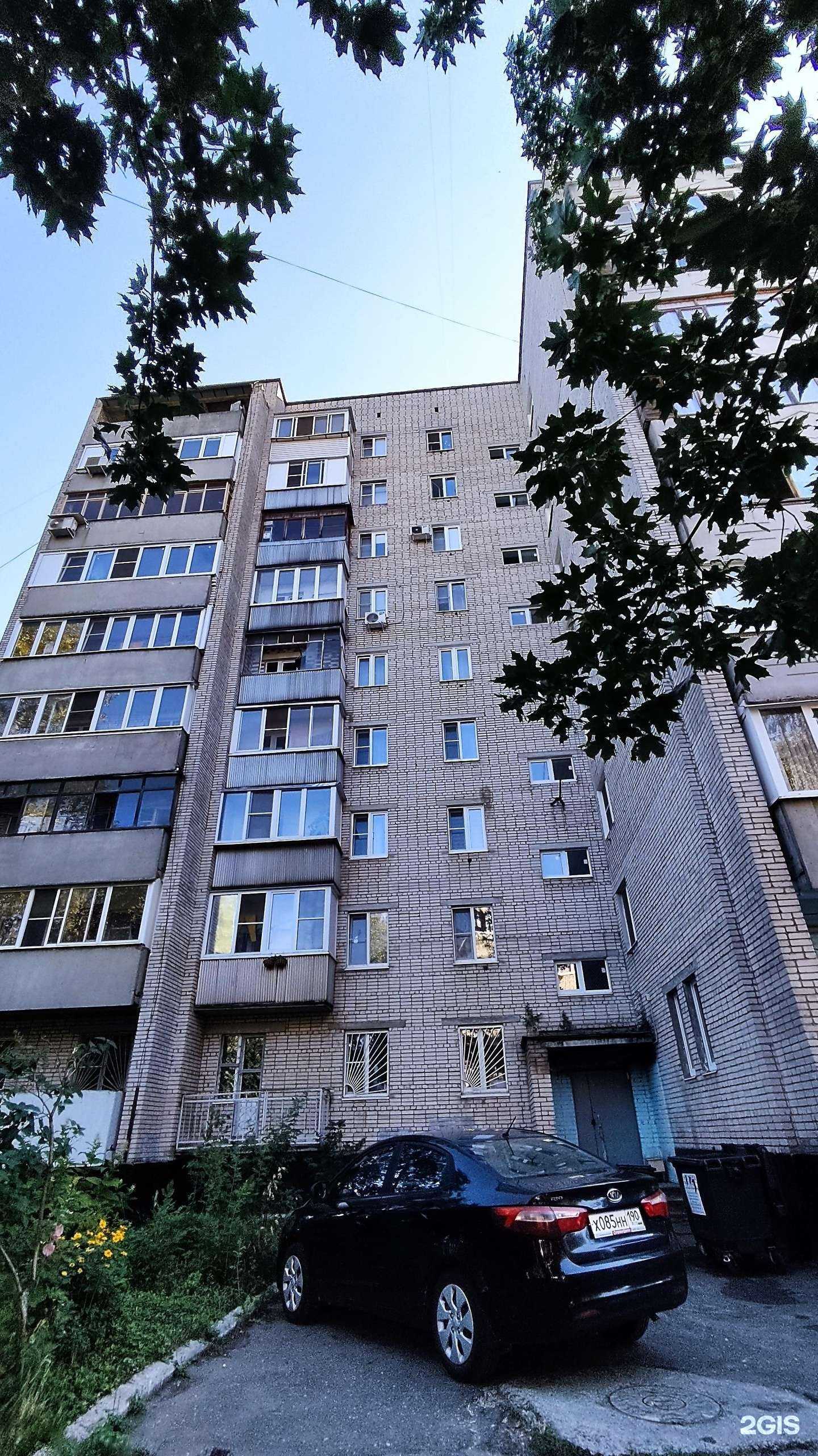 Отзывы на компанию Пушистики в Электростали c фото - фотография 2 из 2