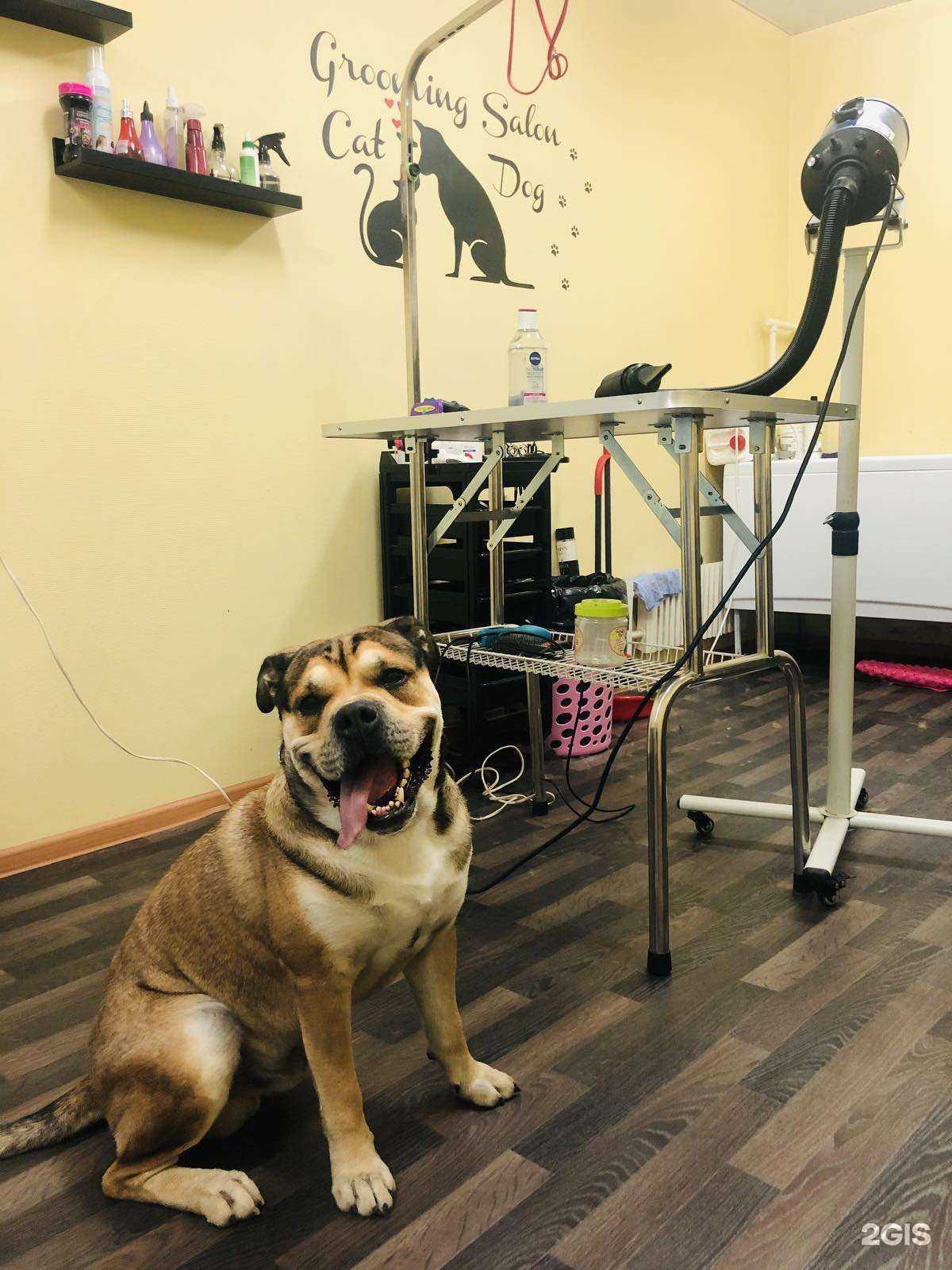 Отзывы на компанию Милли в Волгограде c фото