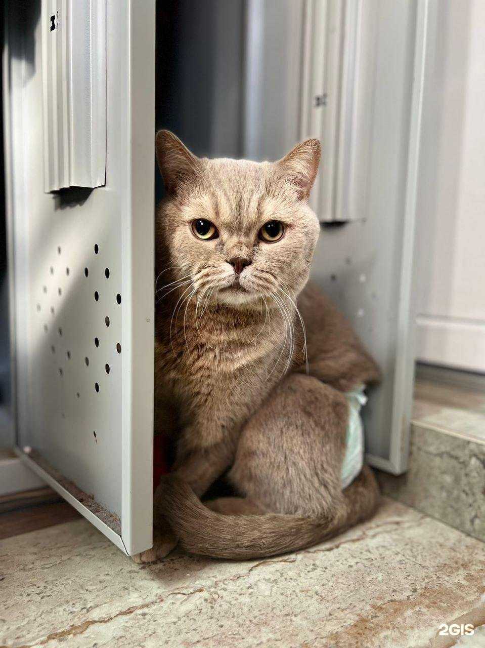 Отзывы на компанию Милосердие в г. Калининград c фото