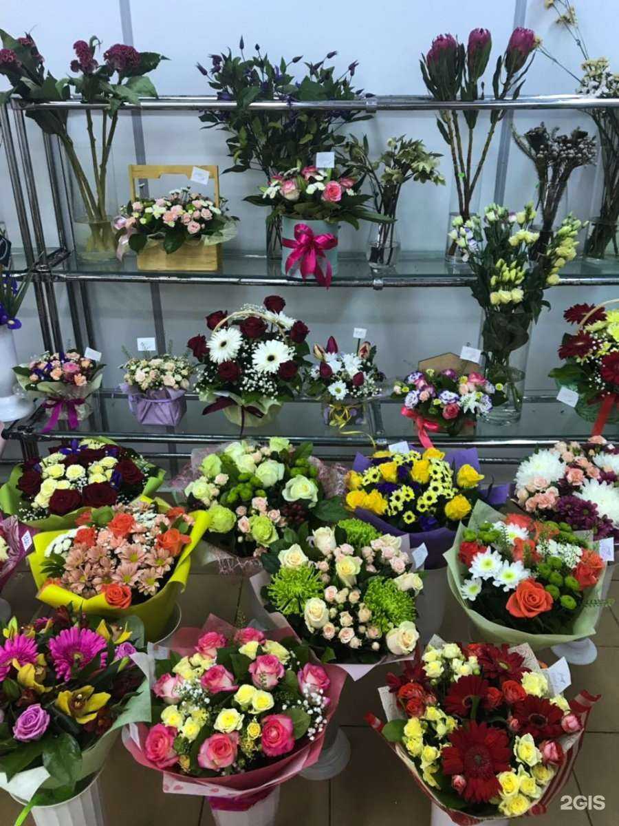 Отзывы на компанию Амалия в г. Ижевск c фото