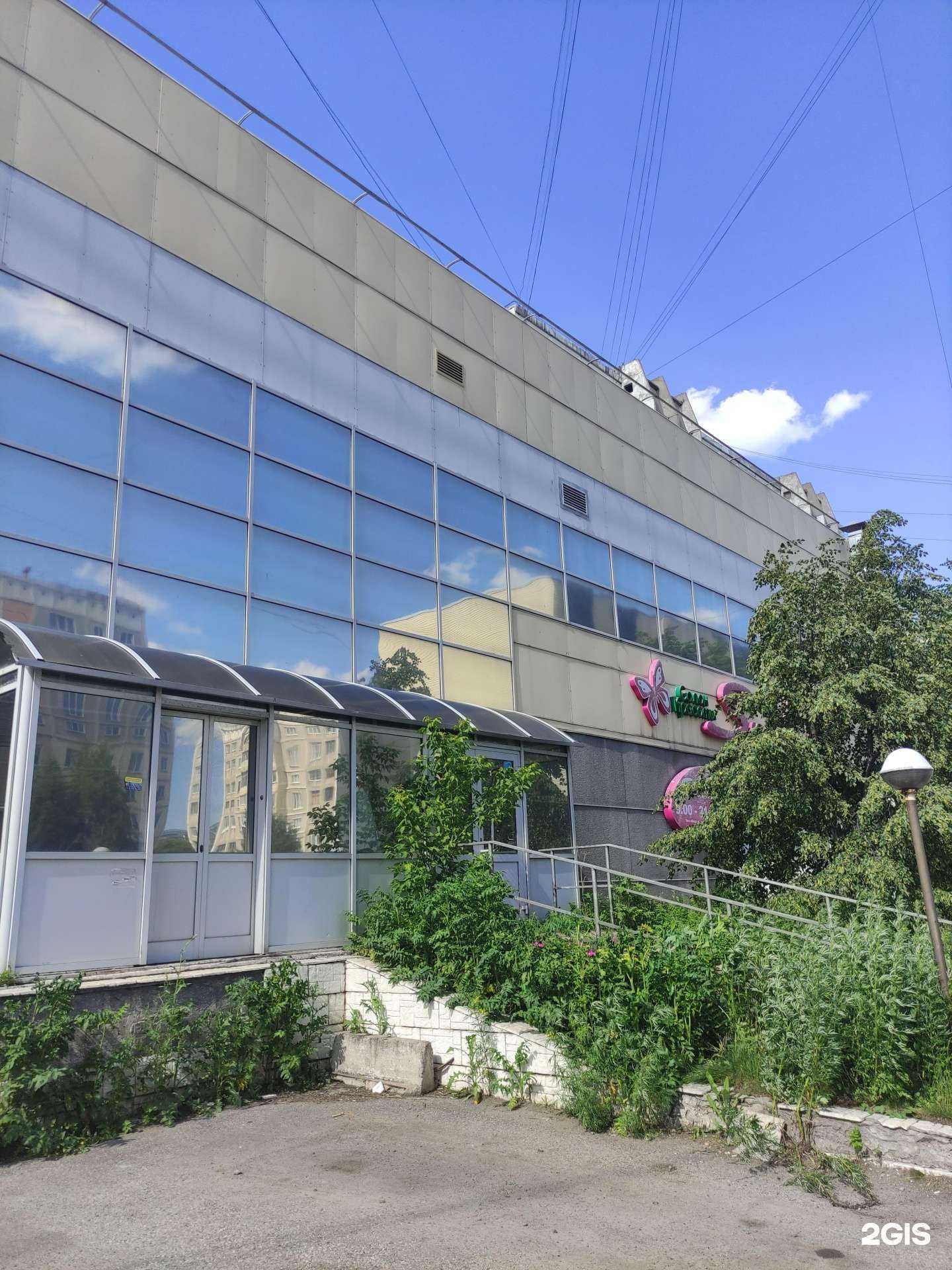 Отзывы на компанию Пчелка в Новокузнецке c фото - фотография 2 из 2