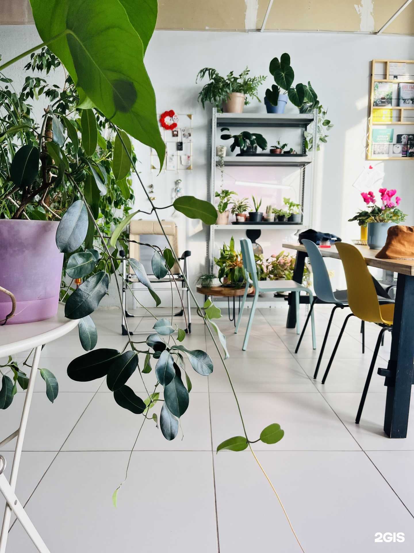 Отзывы на компанию Зеленый  в Уфе c фото