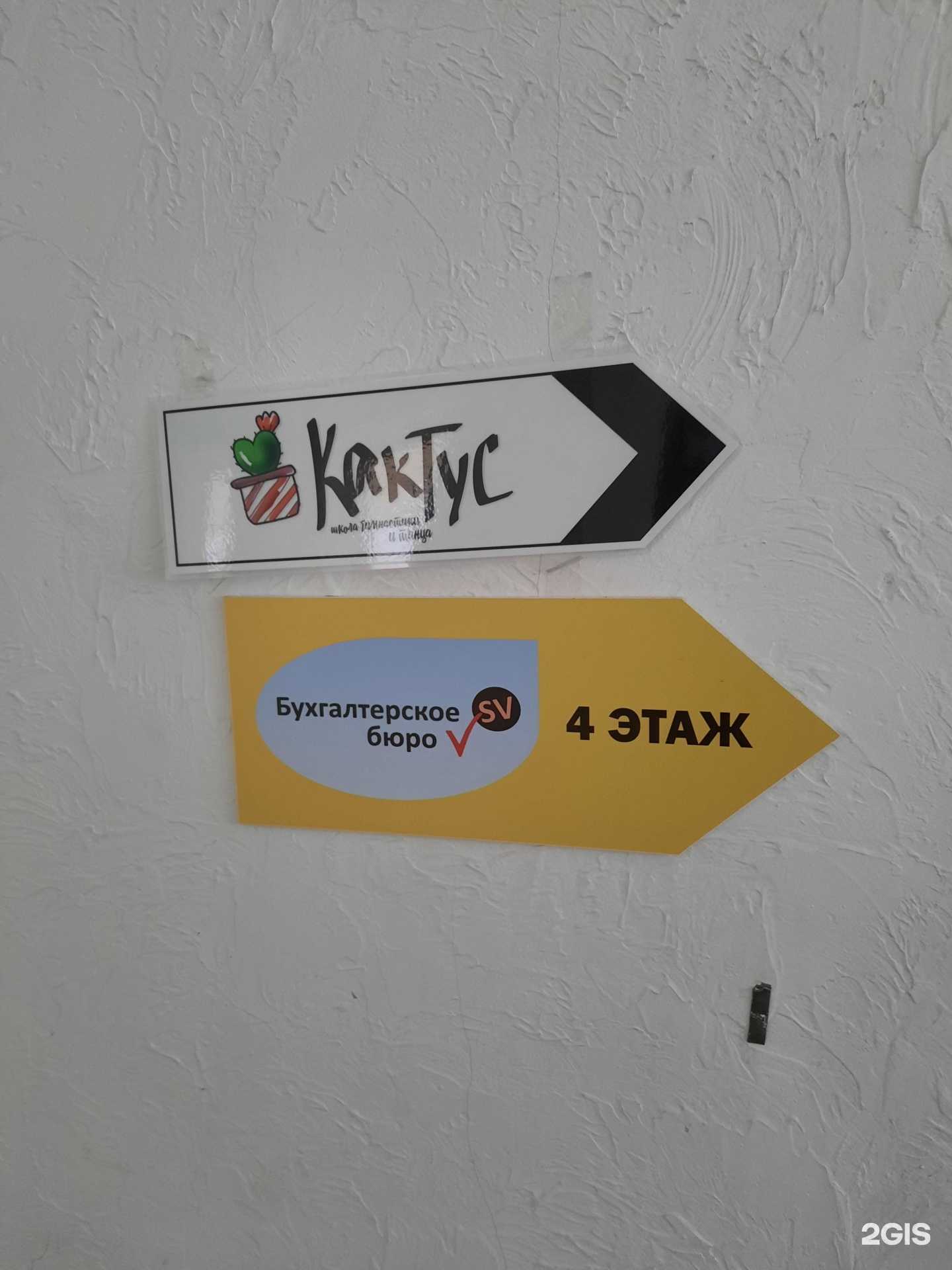 Отзывы на компанию Кактус в Перми c фото