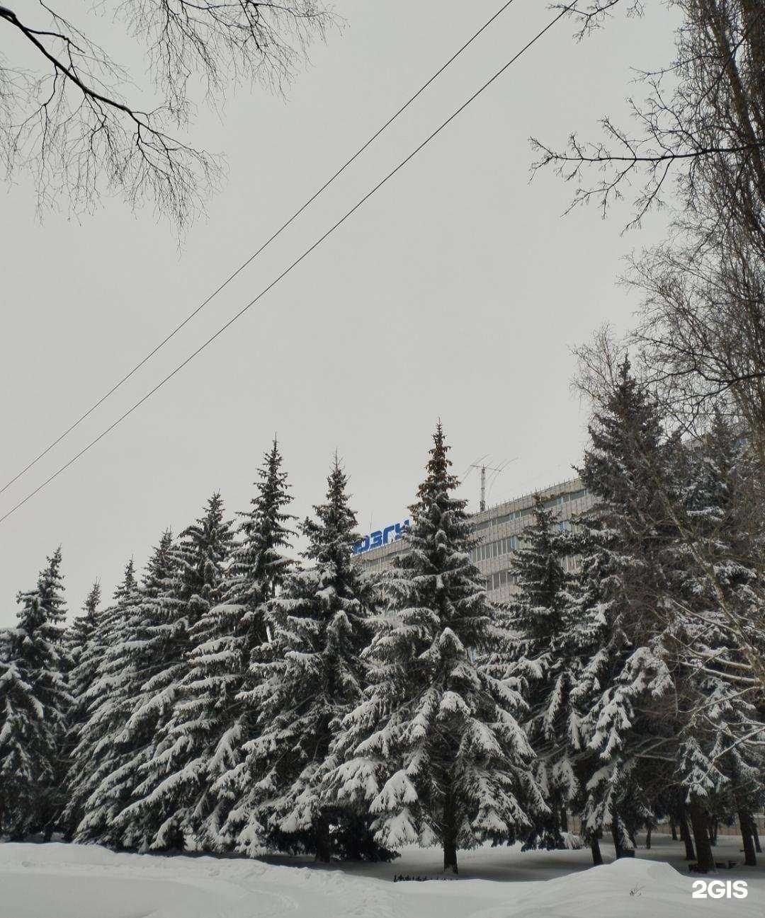 Отзывы на компанию Юго-Западный государственный университет в г. Курск c фото