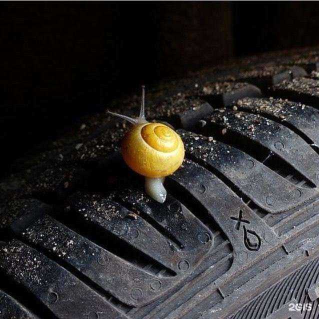 Отзывы на компанию Ivanor в г. Саратов c фото