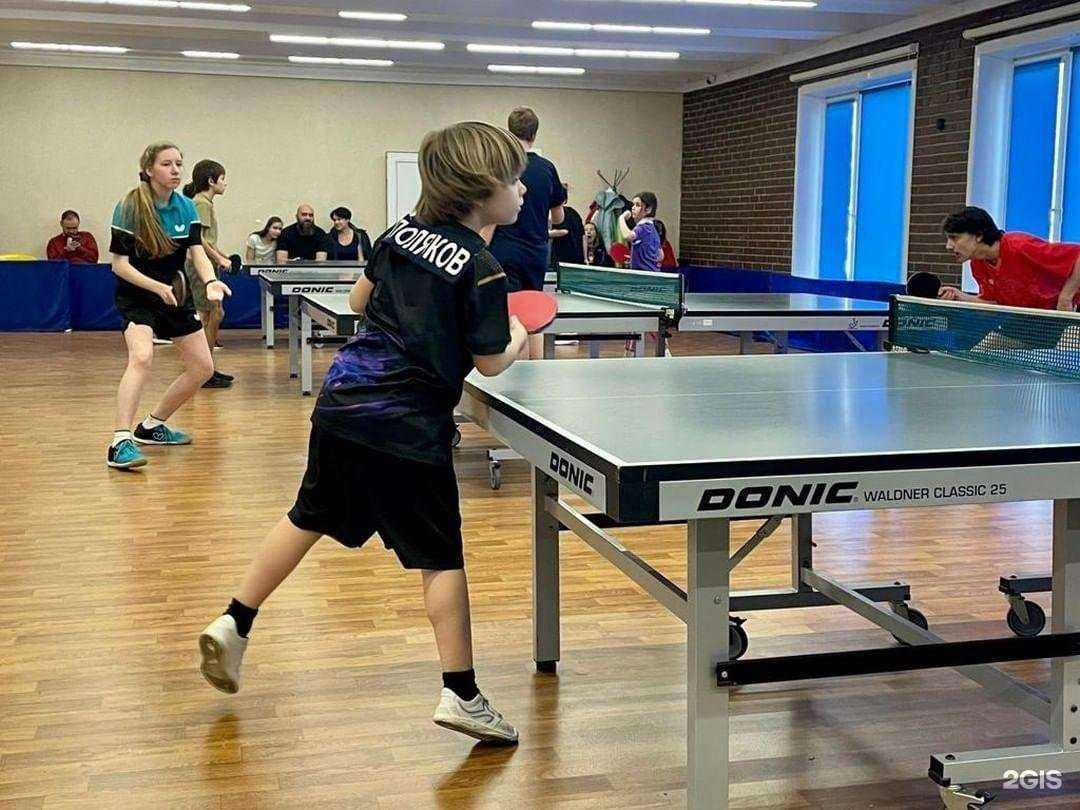 Отзывы на компанию Кентавр в Отрадном c фото