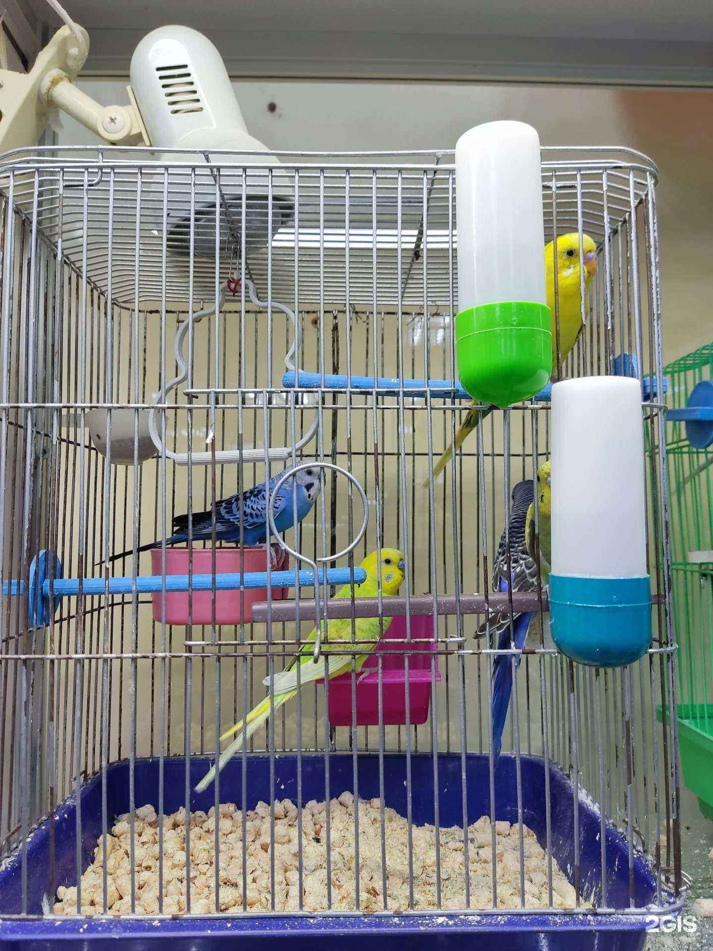 Отзывы на компанию Добрый доктор в г. Йошкар-Ола c фото