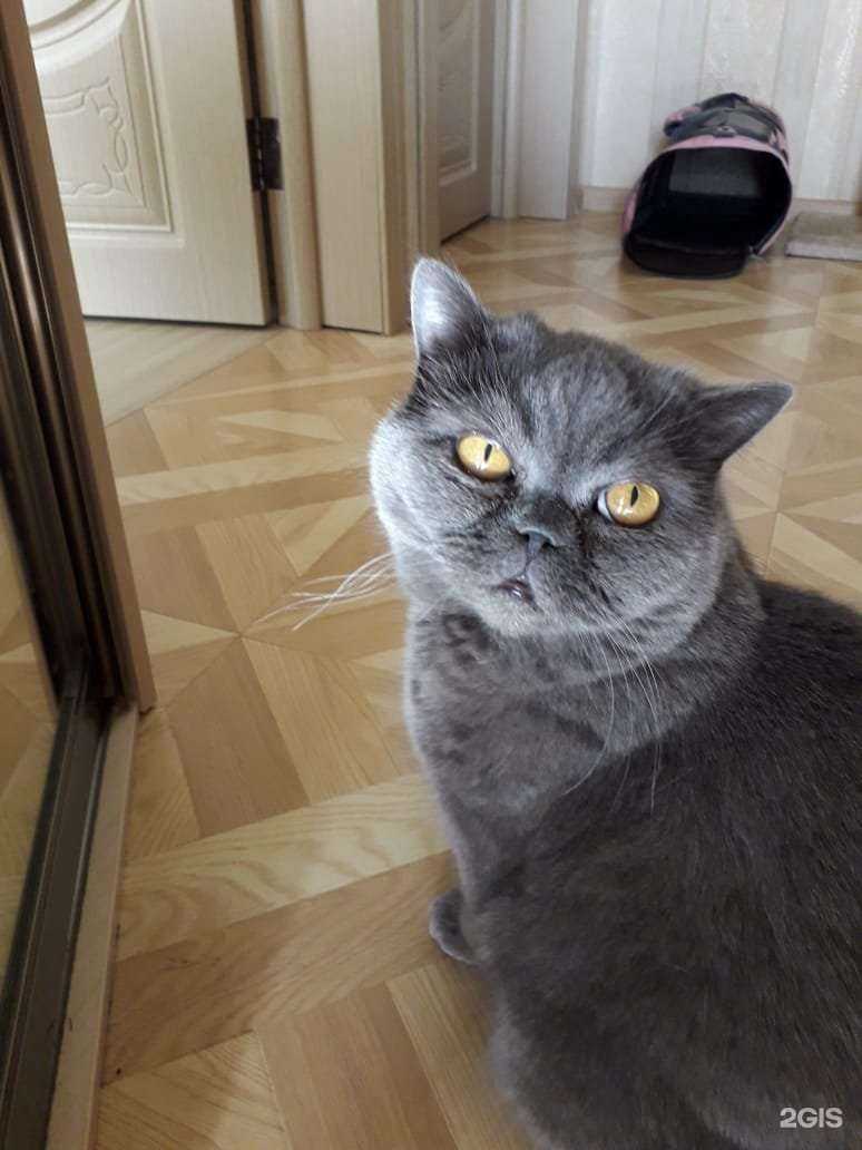 Отзывы на компанию Терветуправление №3 в Балашихе c фото