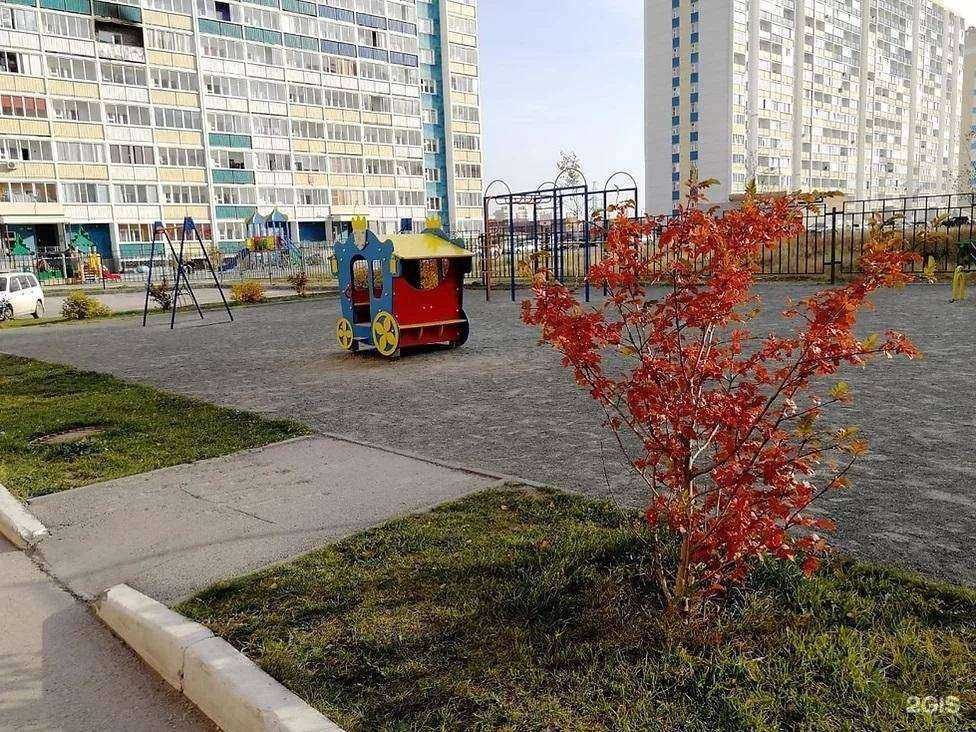 Отзывы на компанию Подсолнух в Новосибирске c фото