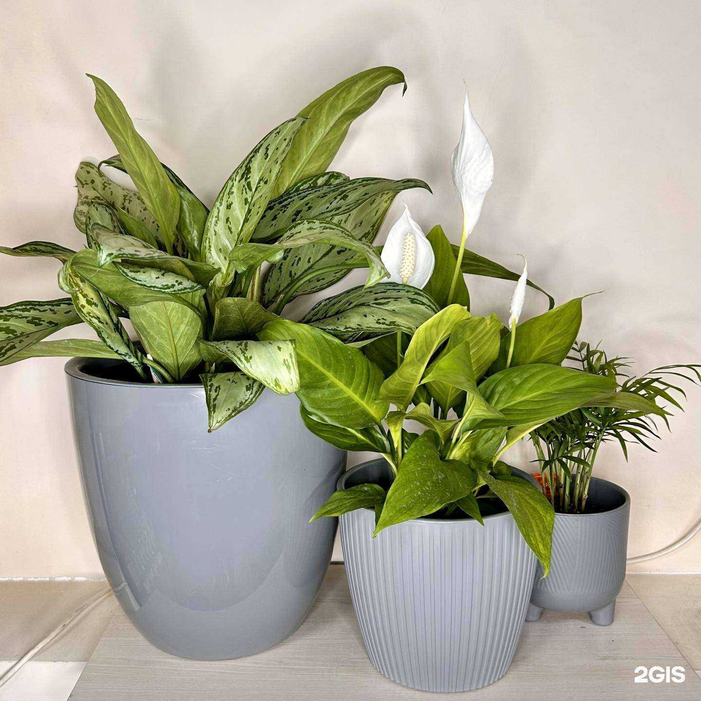 Отзывы на компанию Агар в г. Челябинск c фото