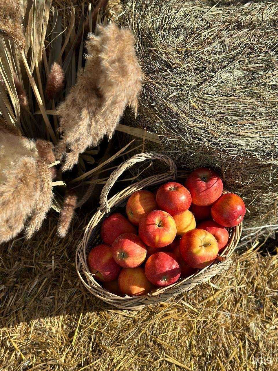Отзывы на компанию Theatre of flowers в г. Екатеринбург c фото