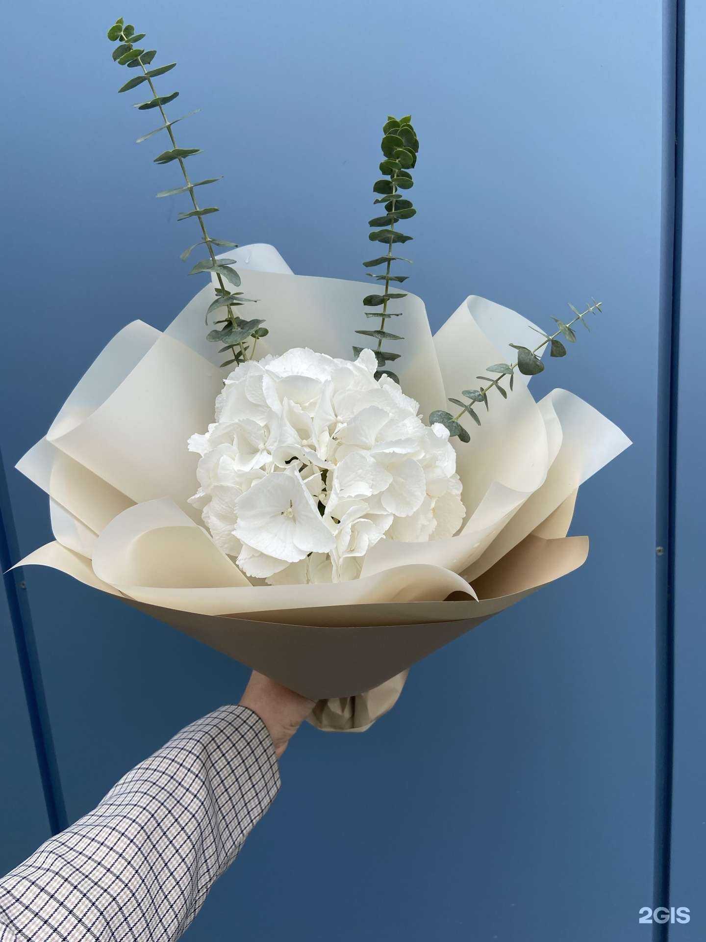 Отзывы на компанию Sklad Cvetov в Ульяновске c фото