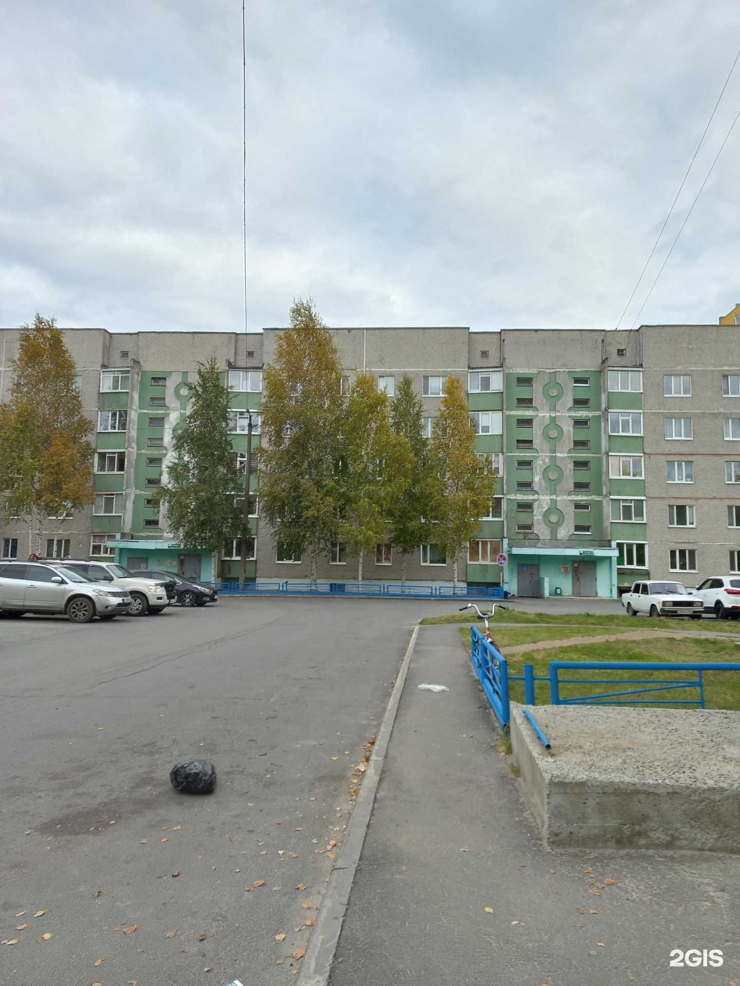 Отзывы на компанию Vet for pets в Лангепасе c фото - фотография 2 из 2