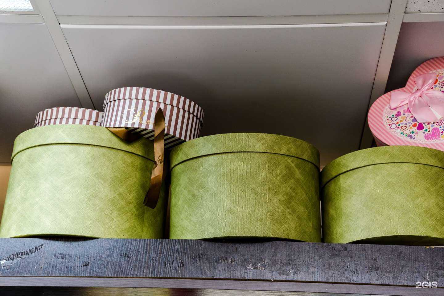 Отзывы на компанию Оранжевый верблюд в г. Кашира c фото